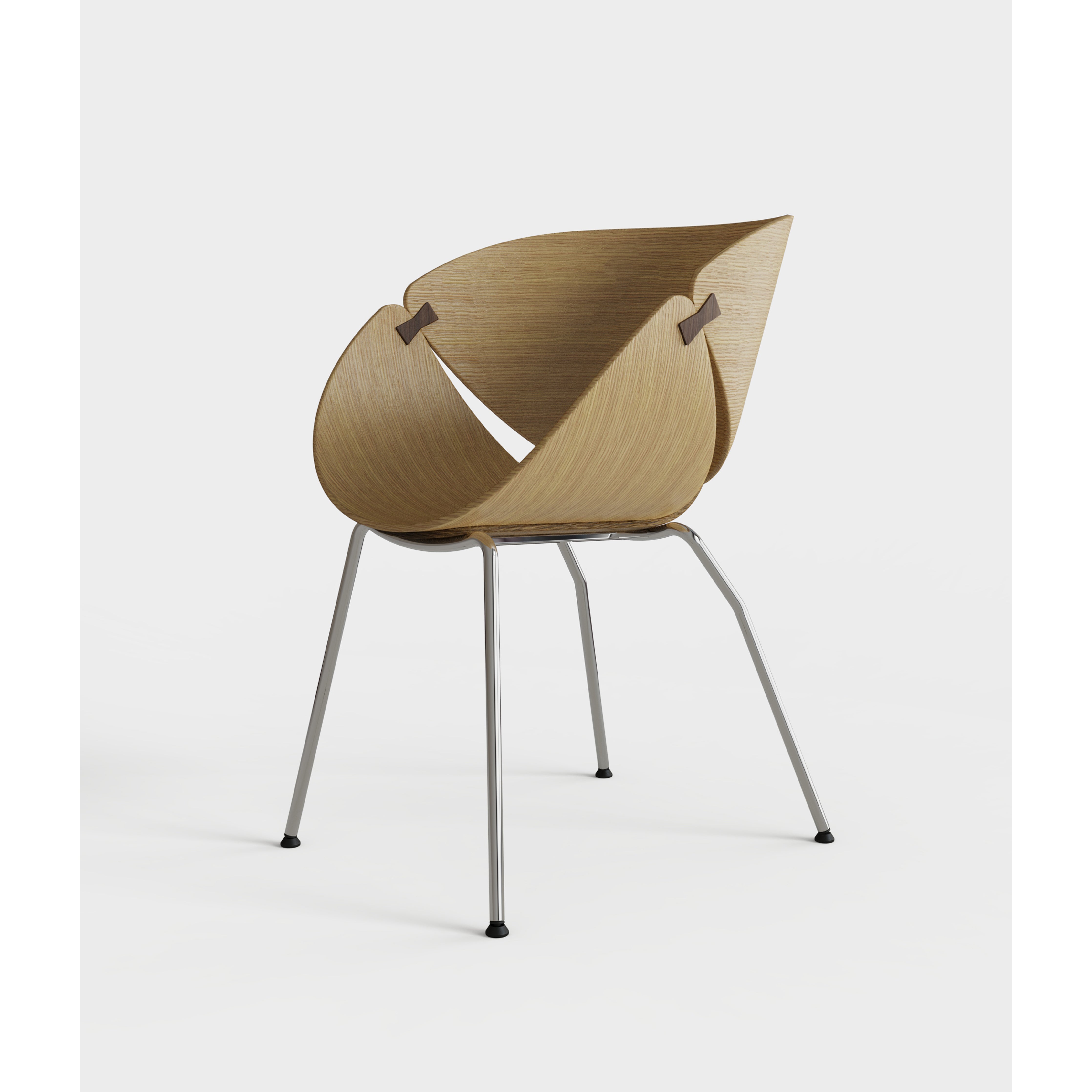 Ginkgo - Dining Chair