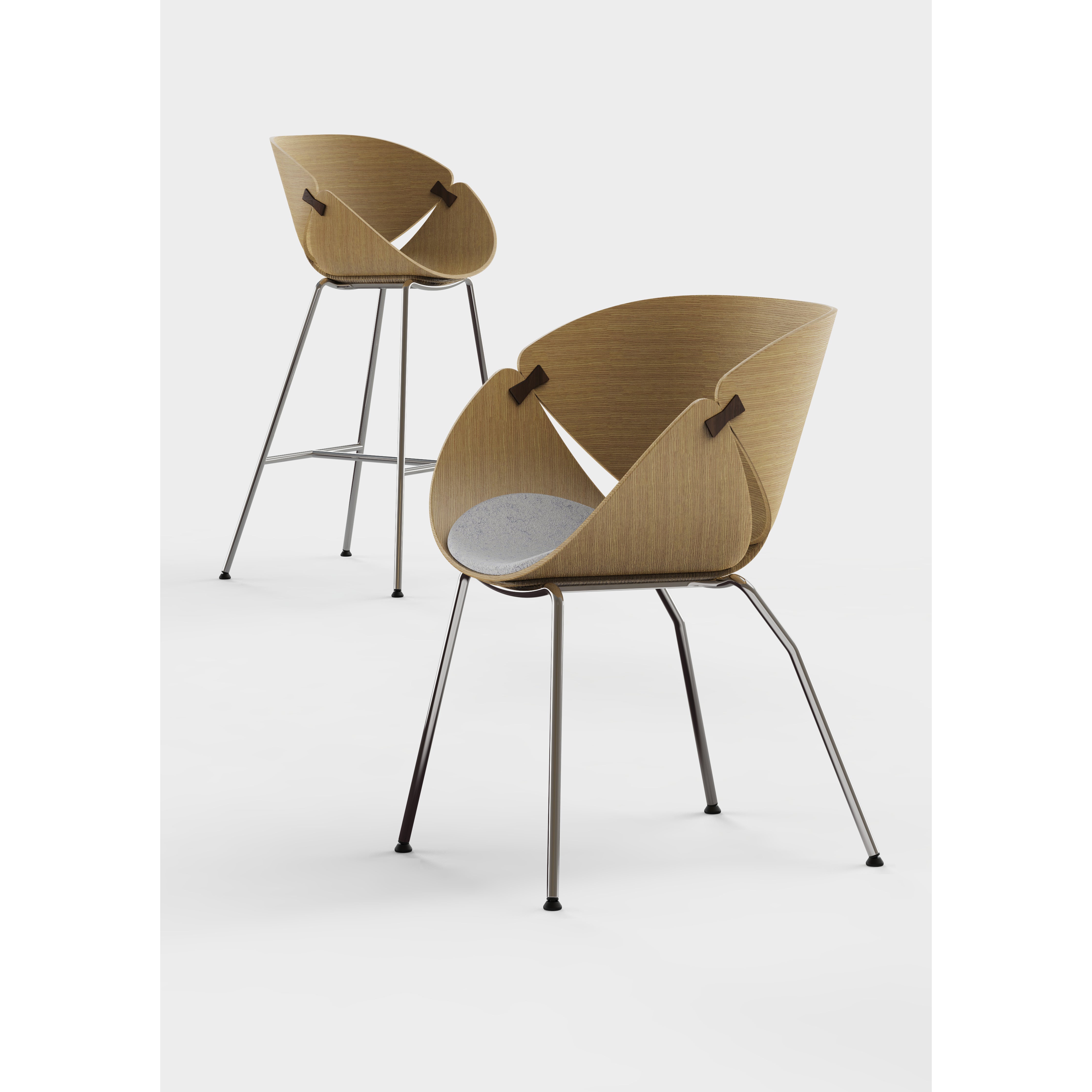 Ginkgo - Dining Chair