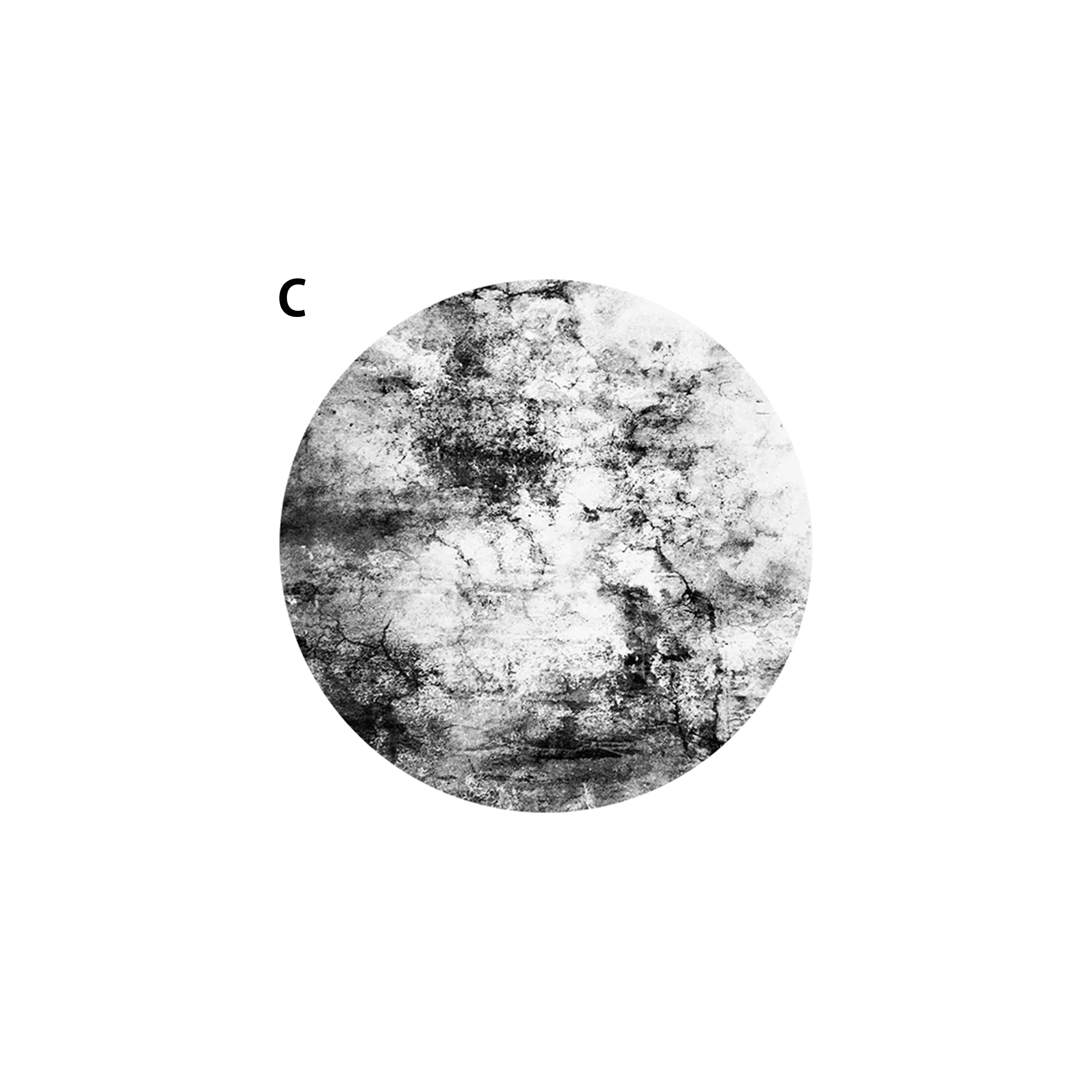 Rug381