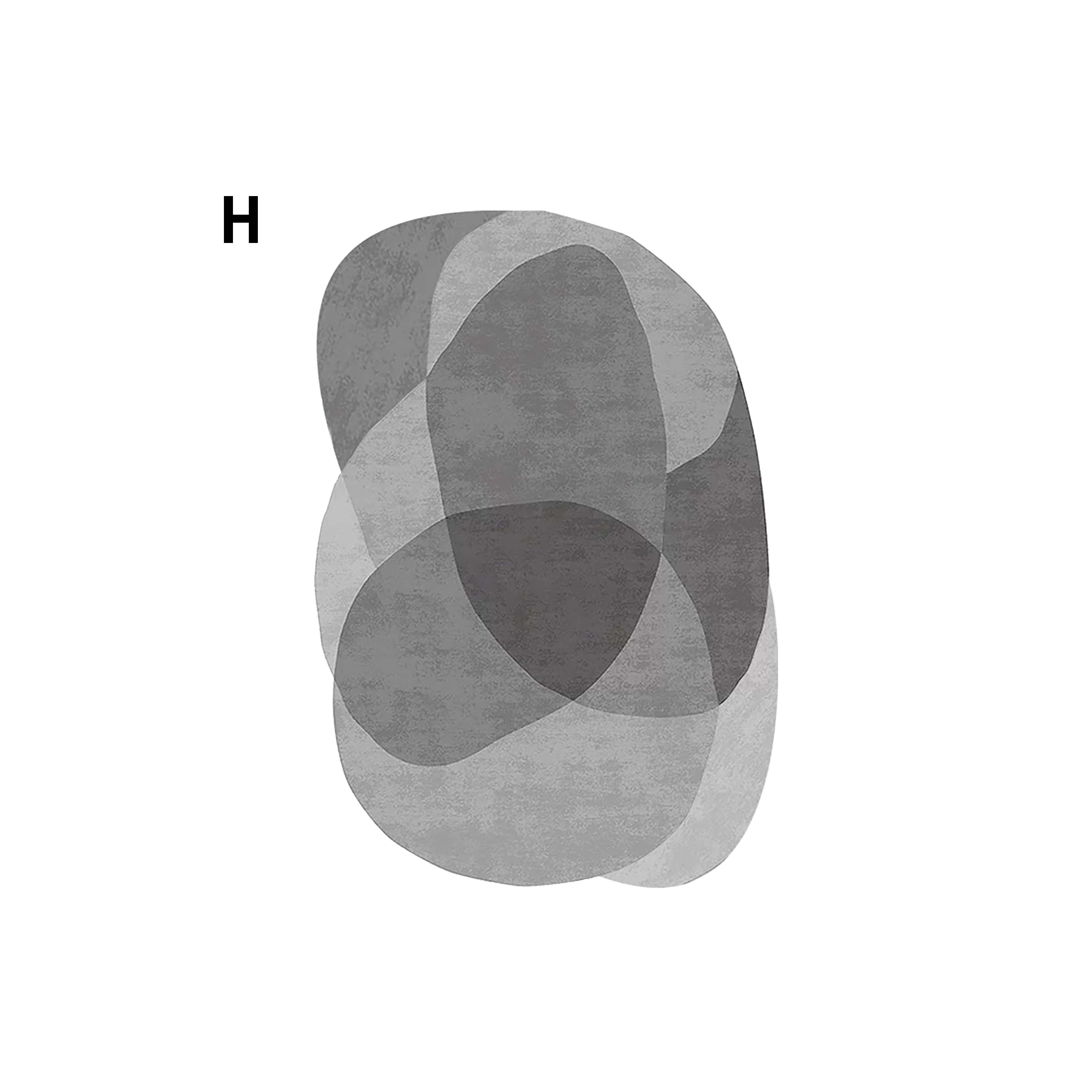 Rug355