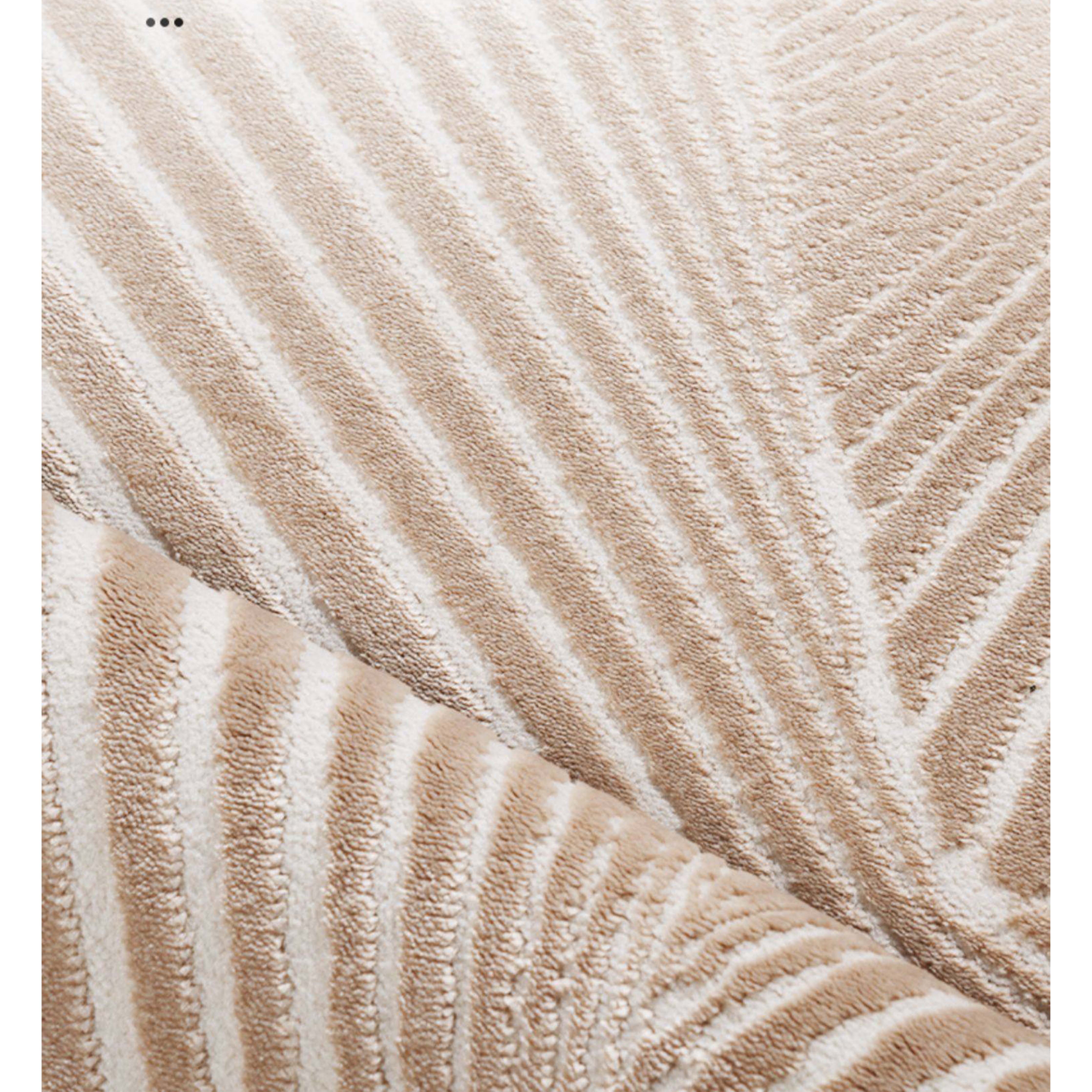 Rug377