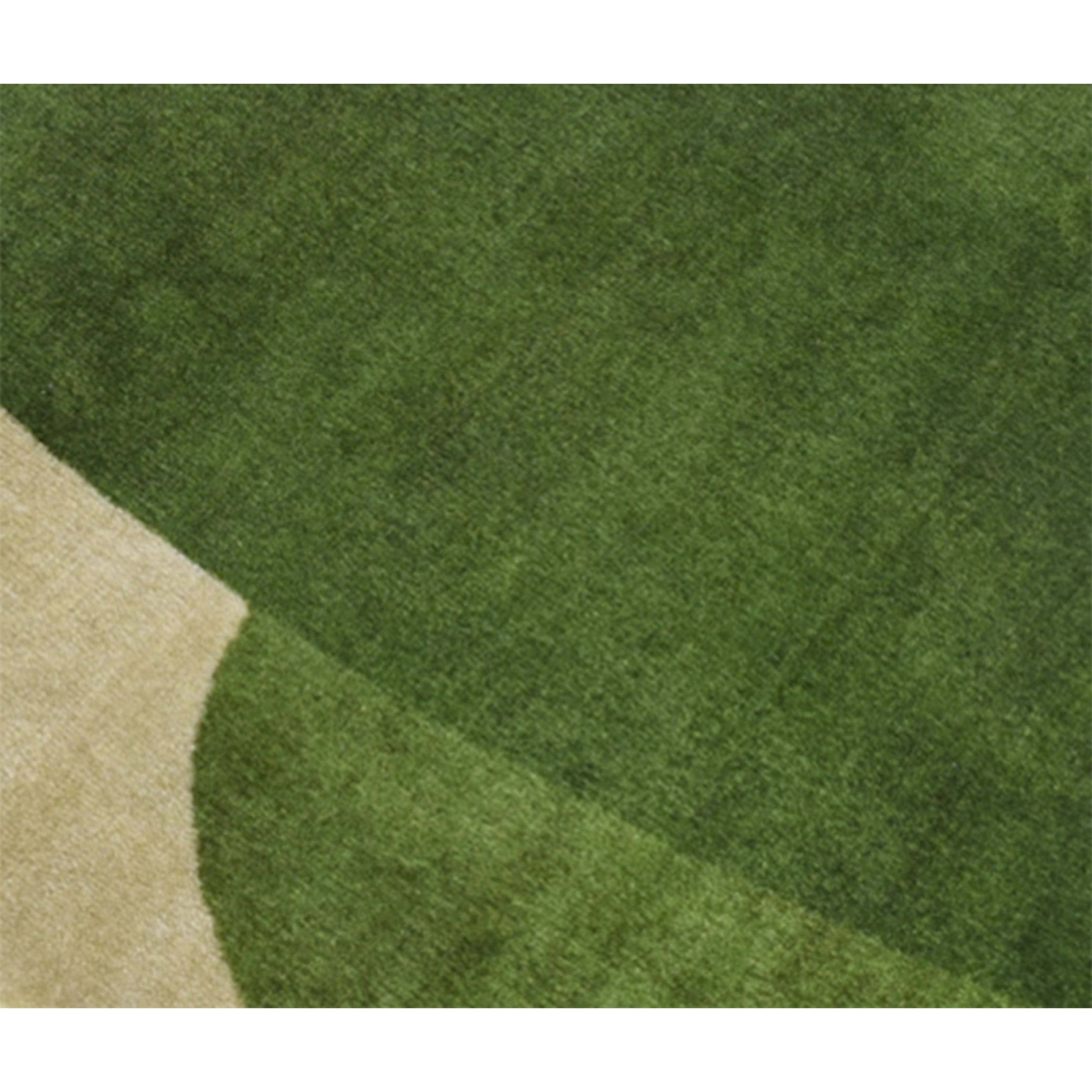 Rug355