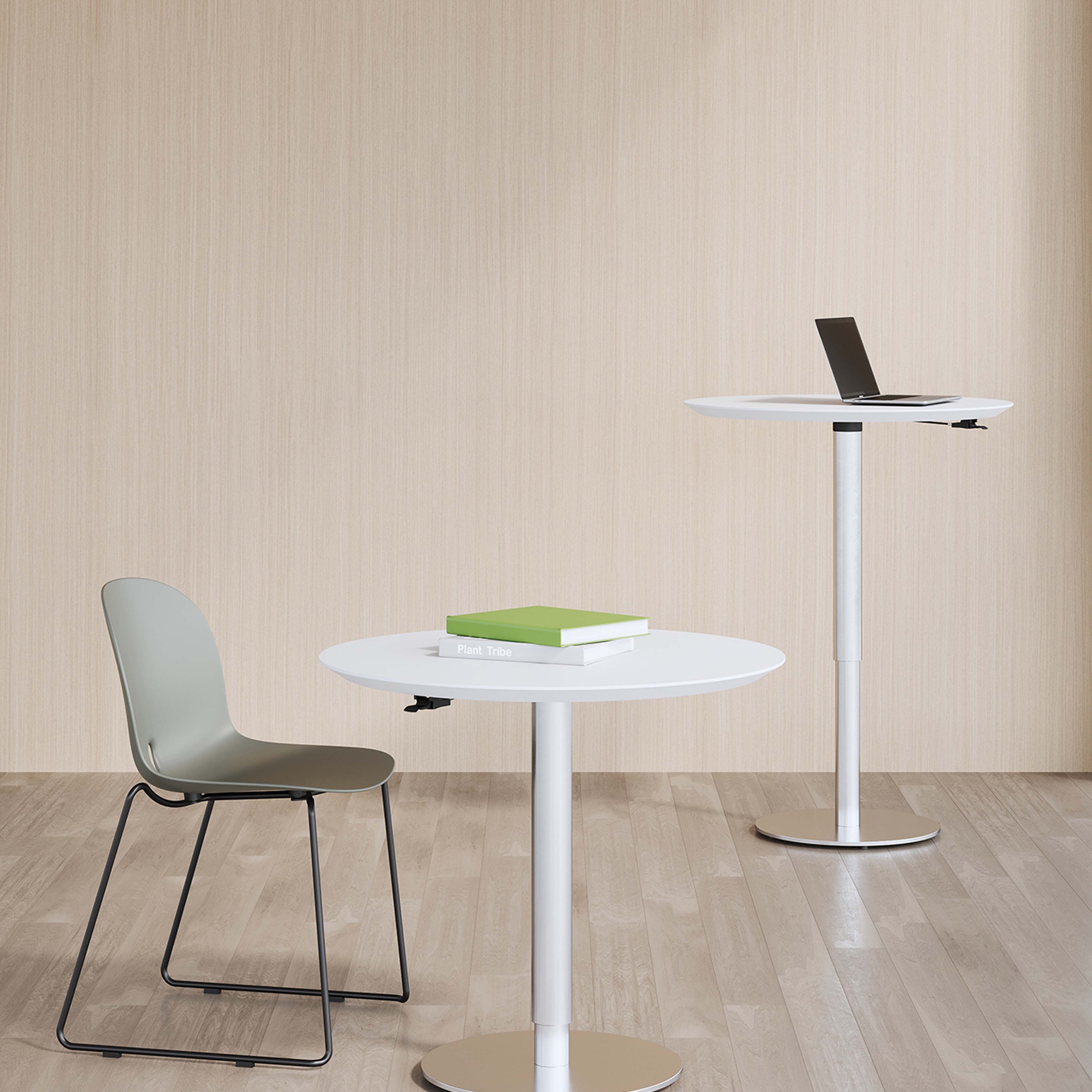 Belt - Dining Chair