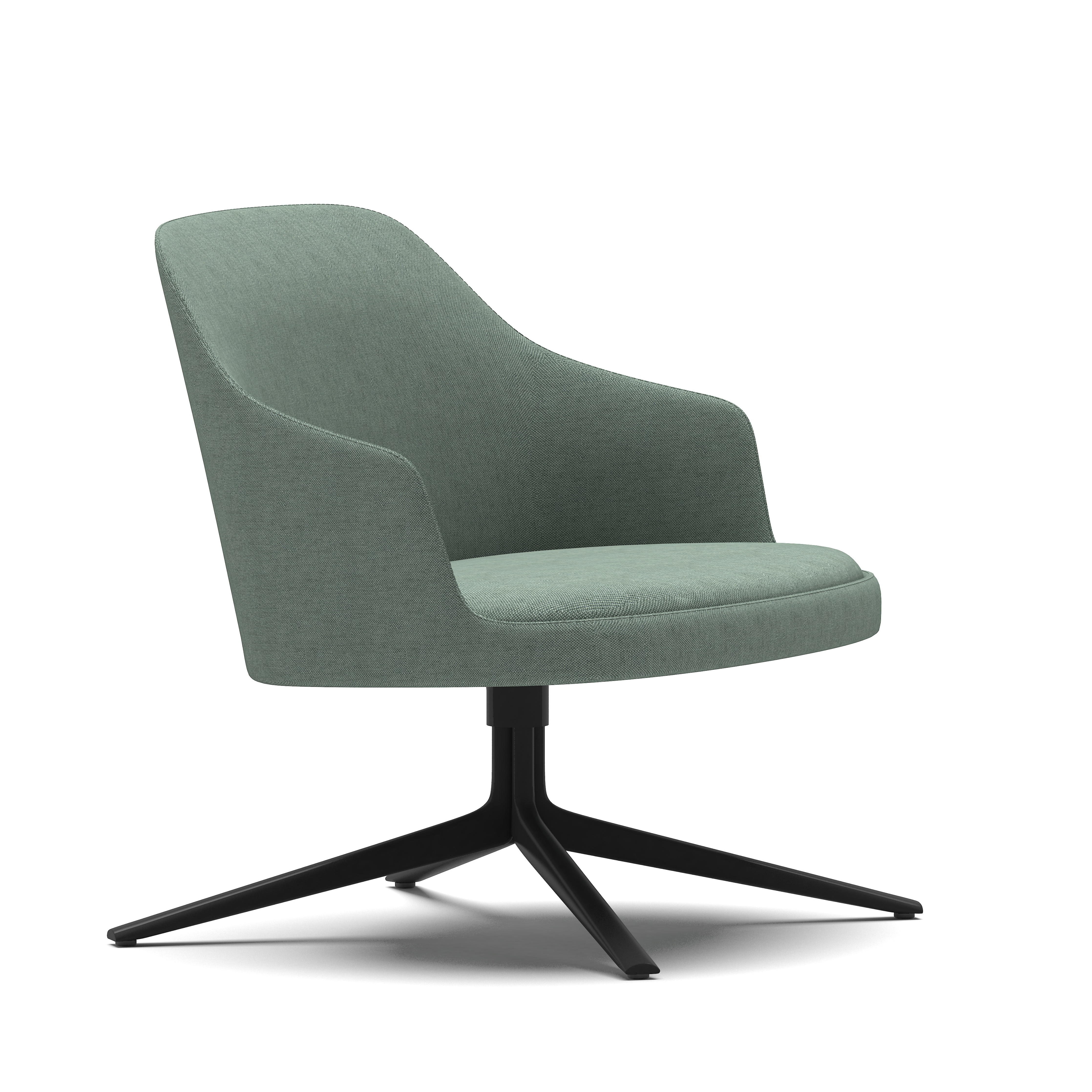 Dolphin - Lounge Chair with Armrest