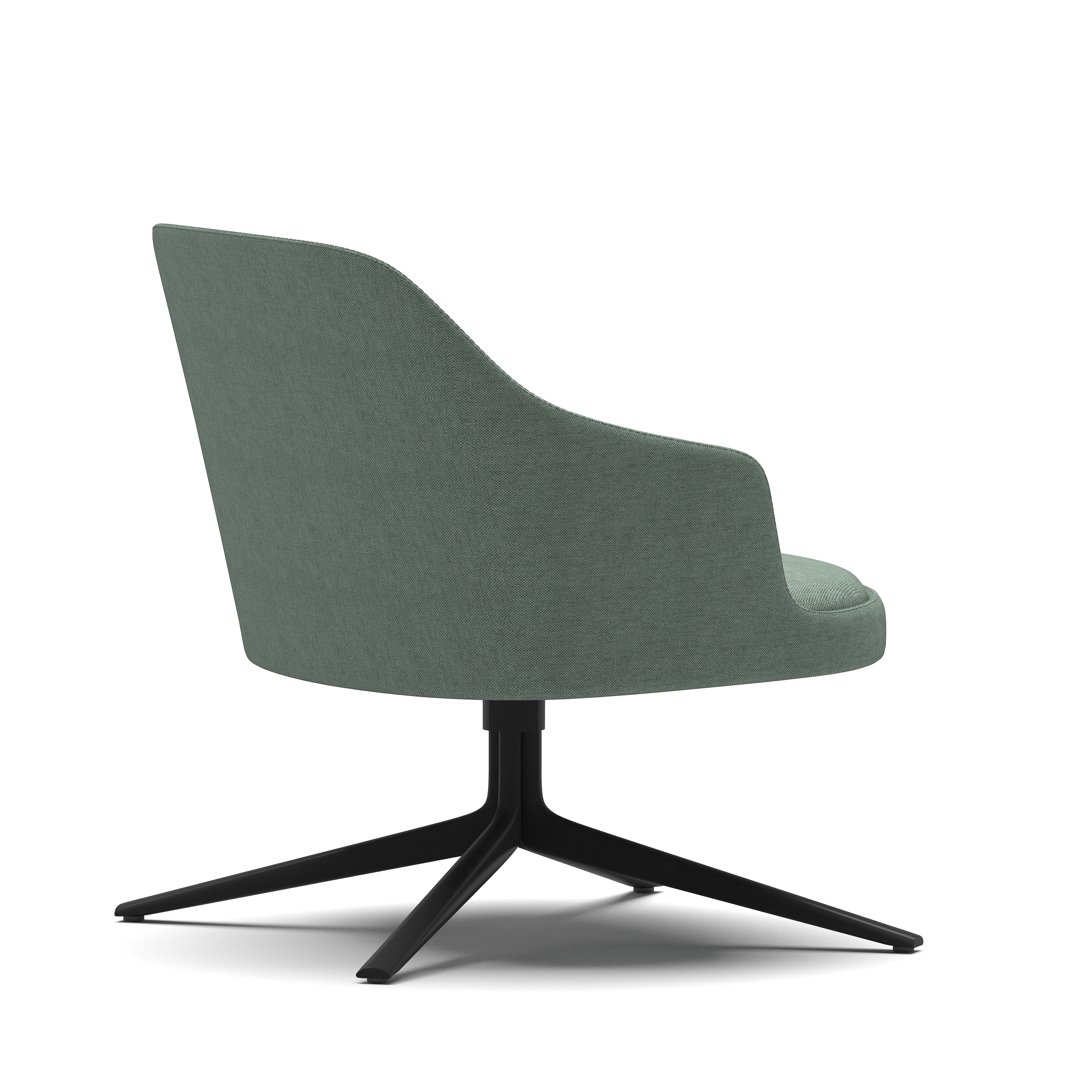Dolphin - Lounge Chair with Armrest