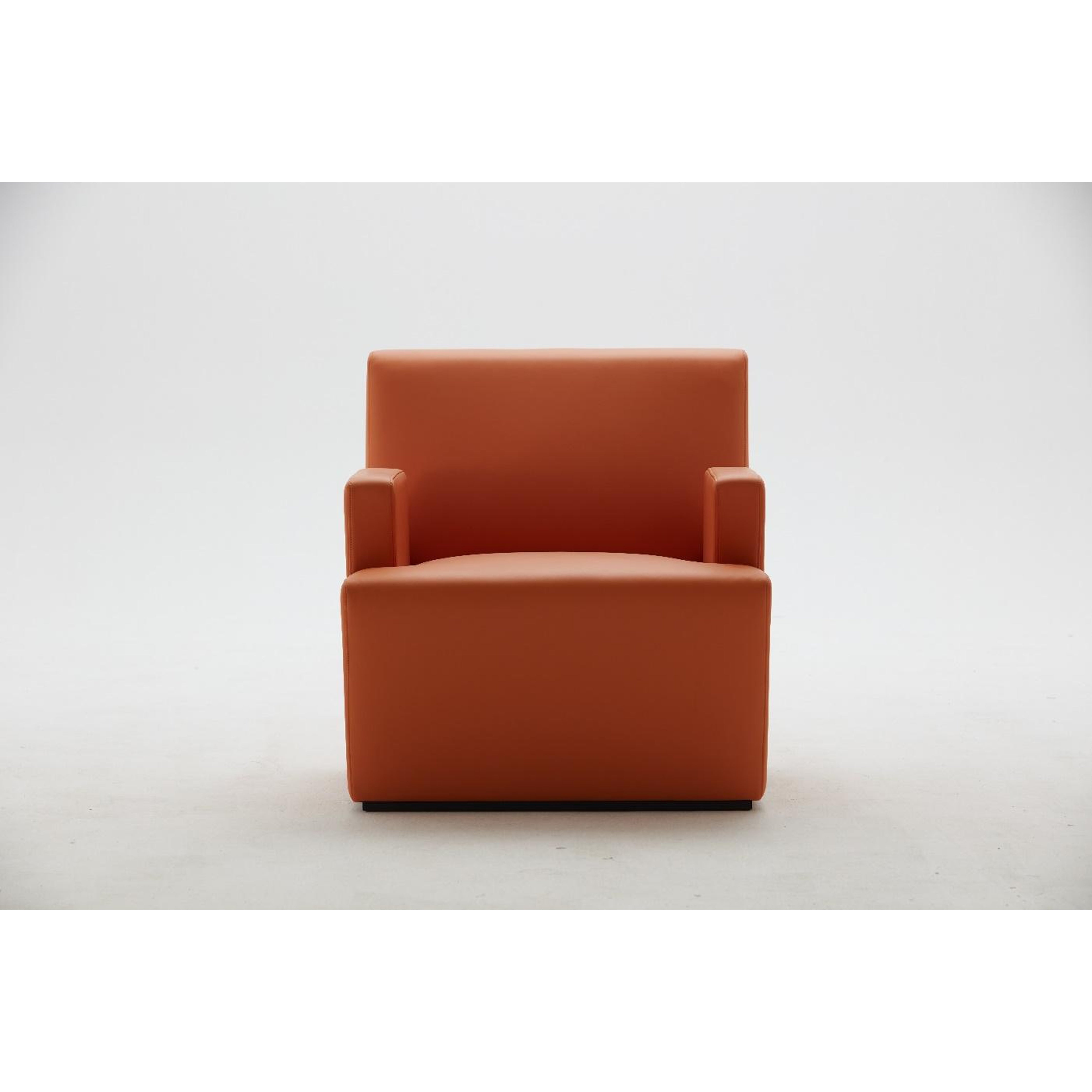 Swan - Lounge Chair