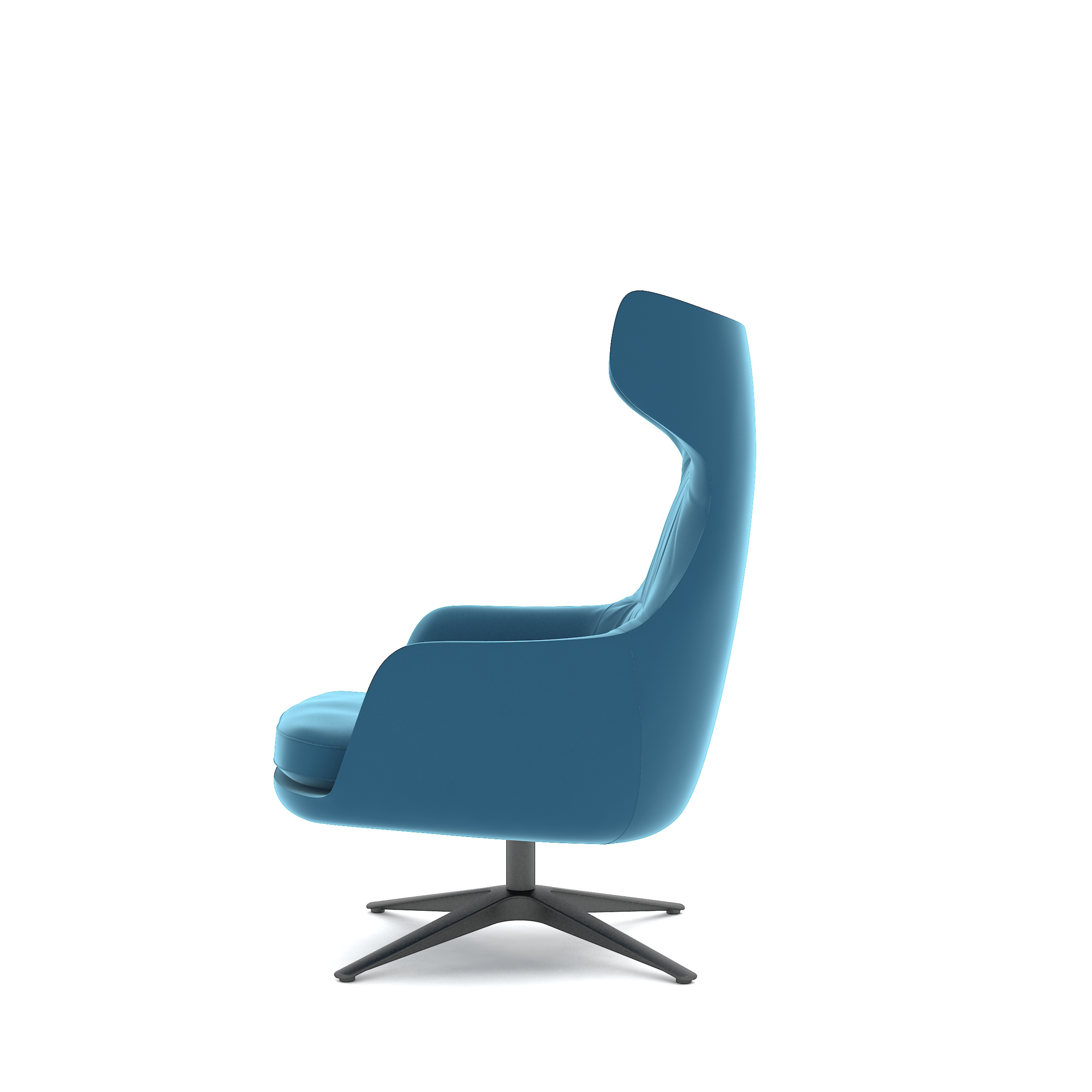 Cetacean - Lounge Chair (with wrinkles)