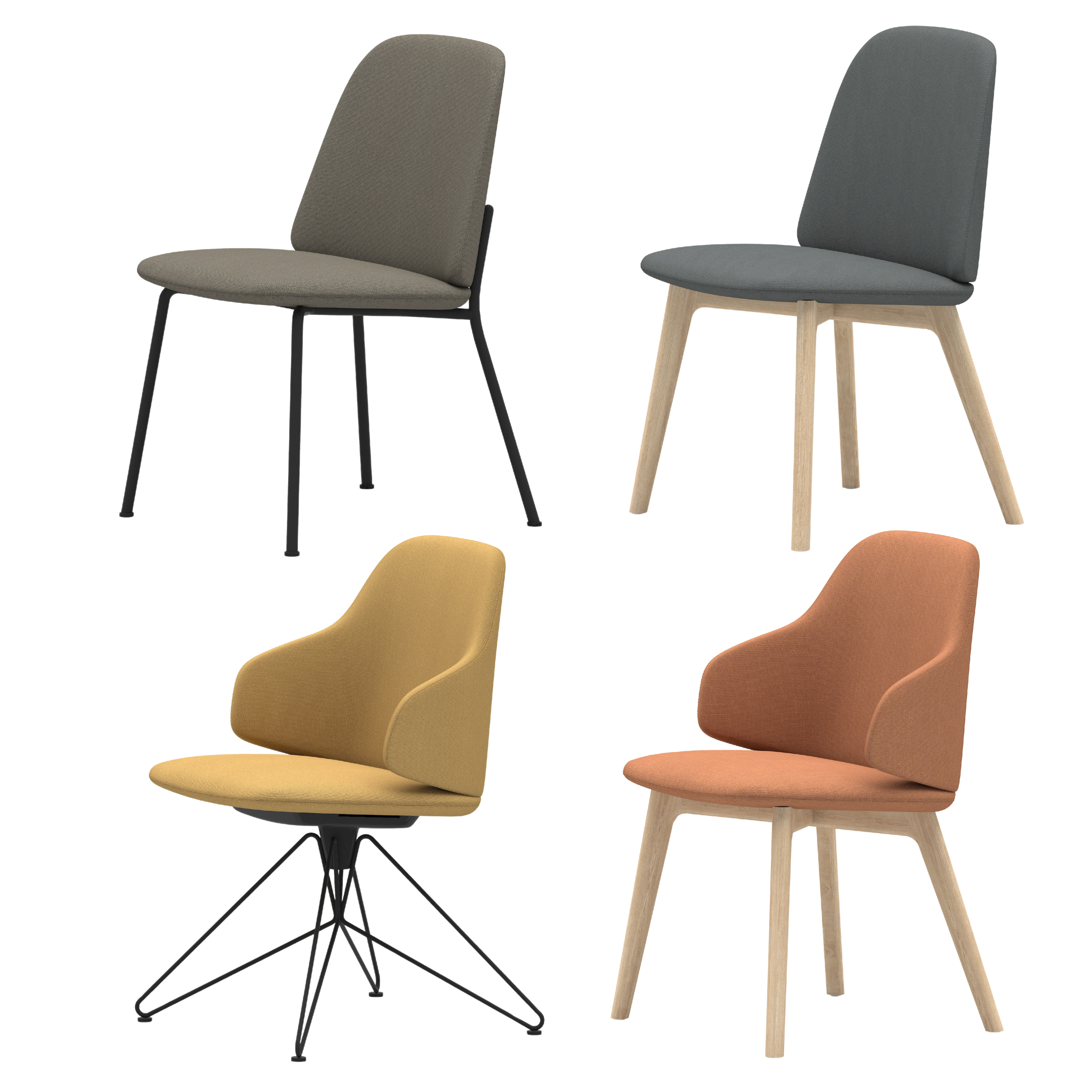 Shield - Dining Chair