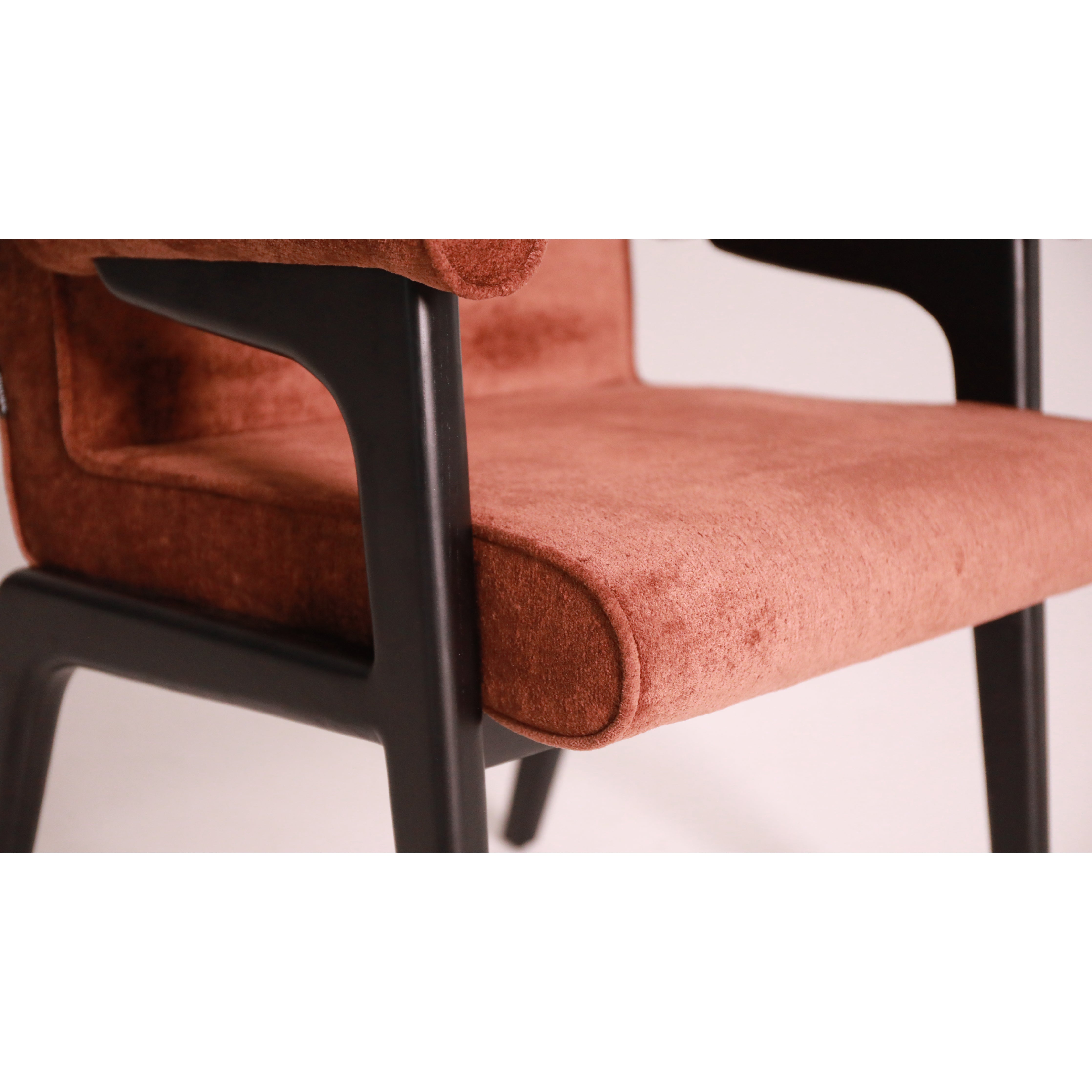 SIERRA - Dining Chair