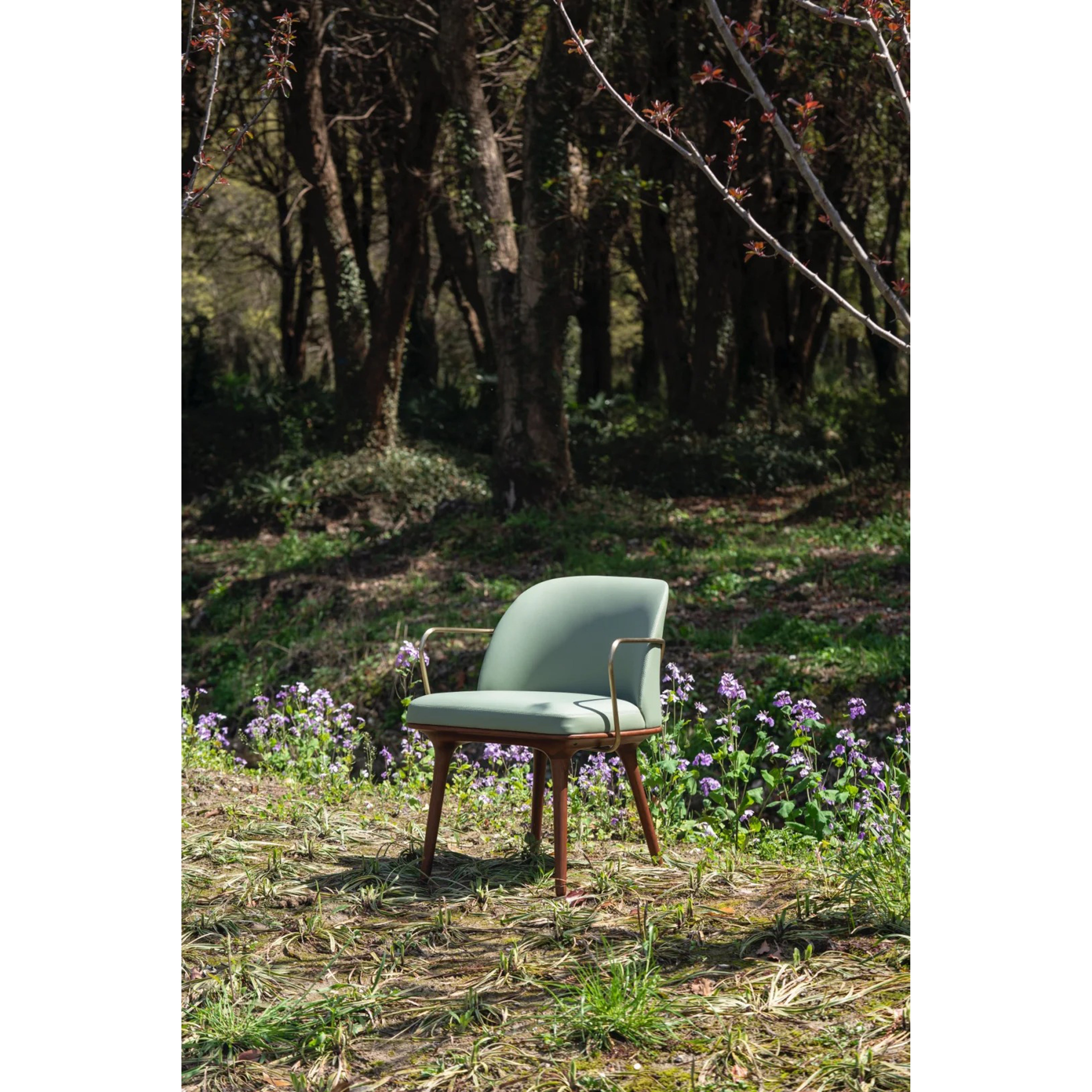 Solar - Dining Chair