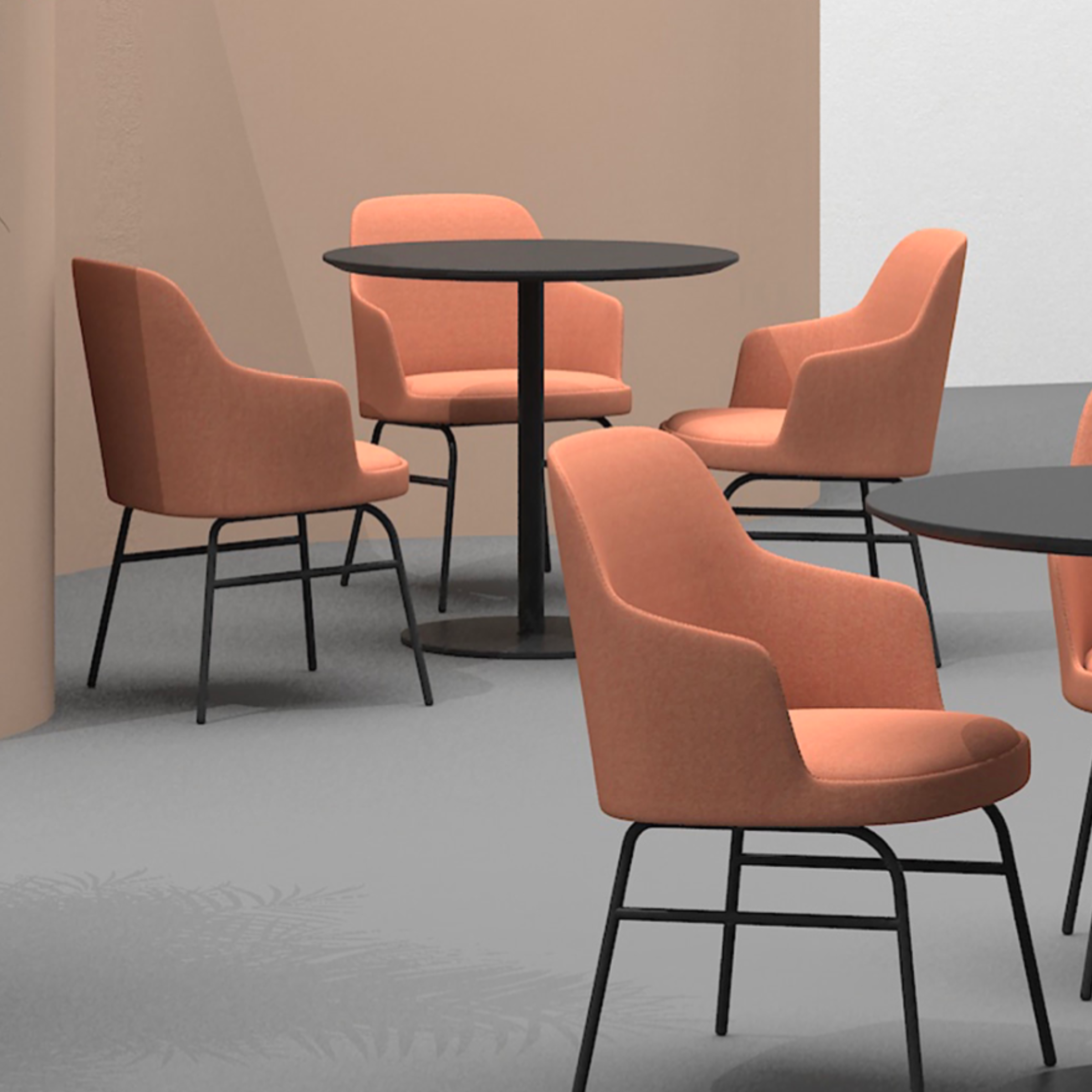 Dolphin - Dining Chair with Armrest