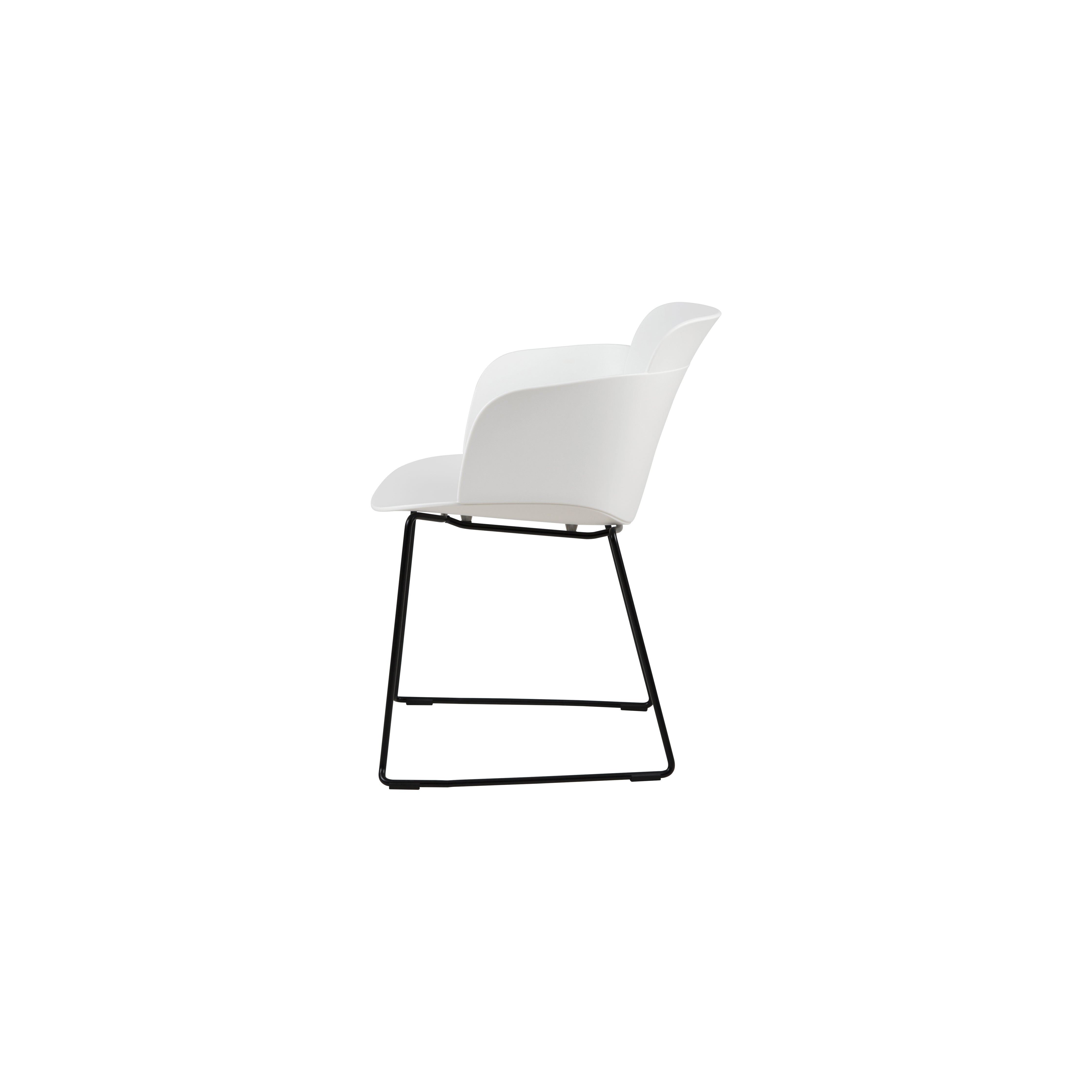 BAF - Dining Chair