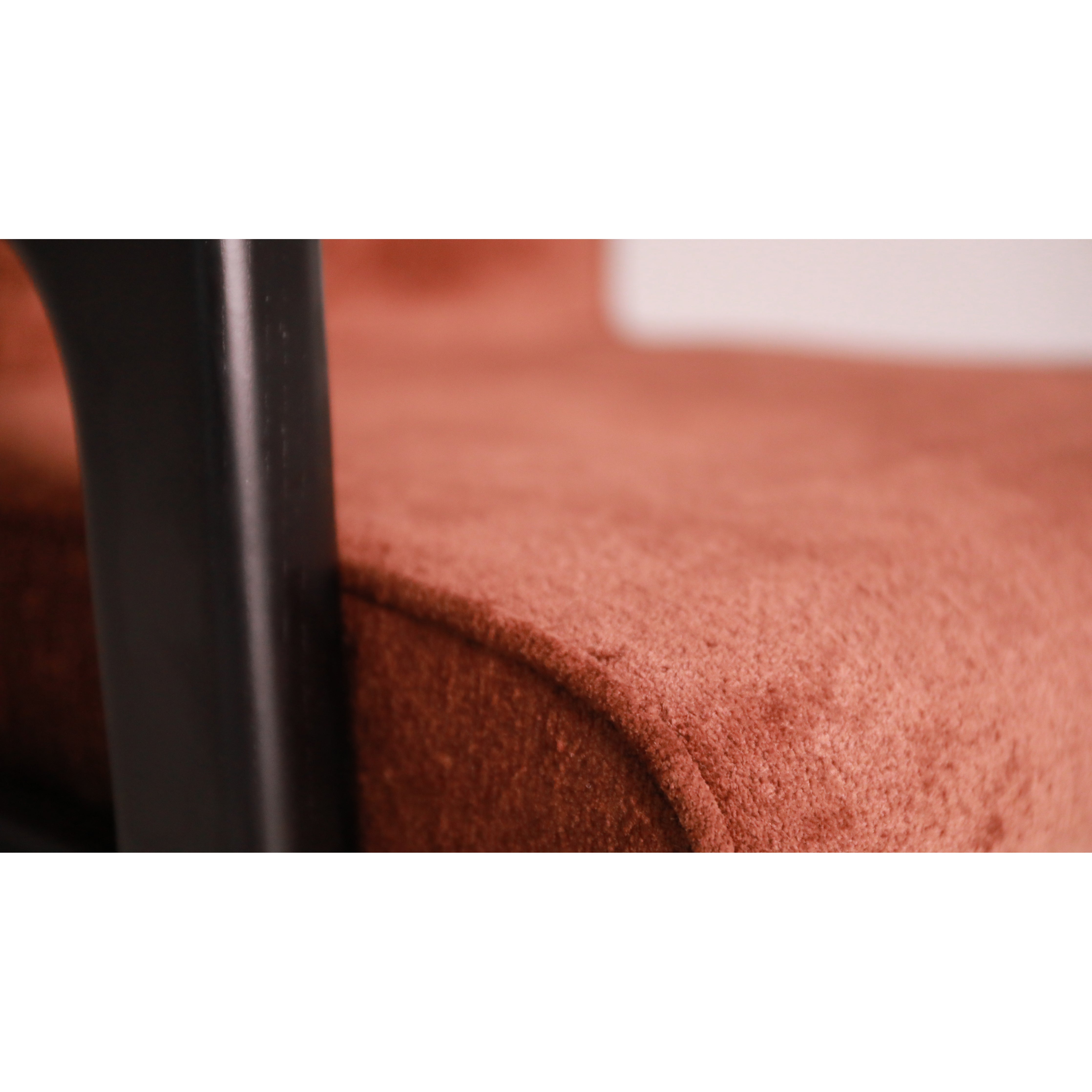 SIERRA - Dining Chair