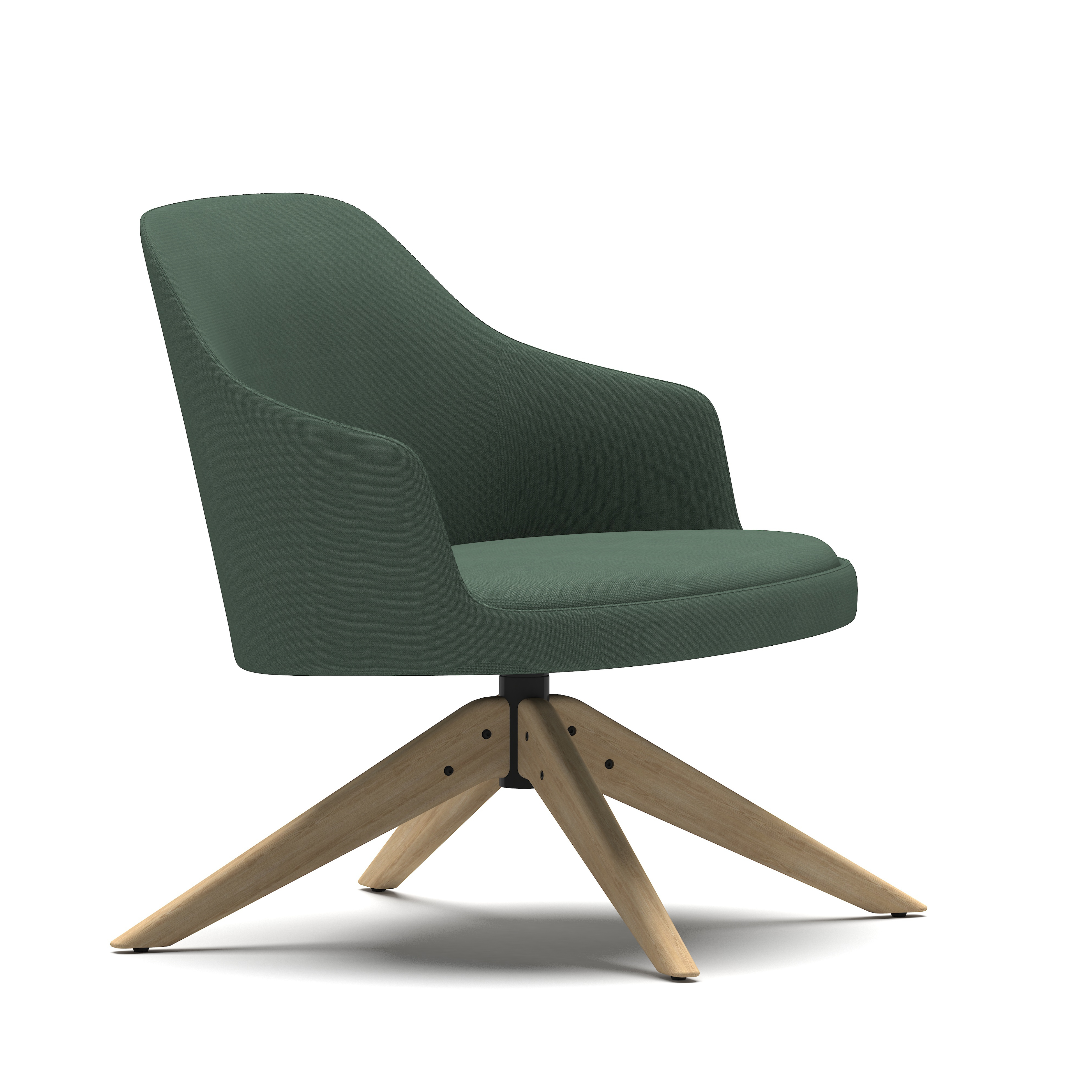 Dolphin - Lounge Chair with Armrest