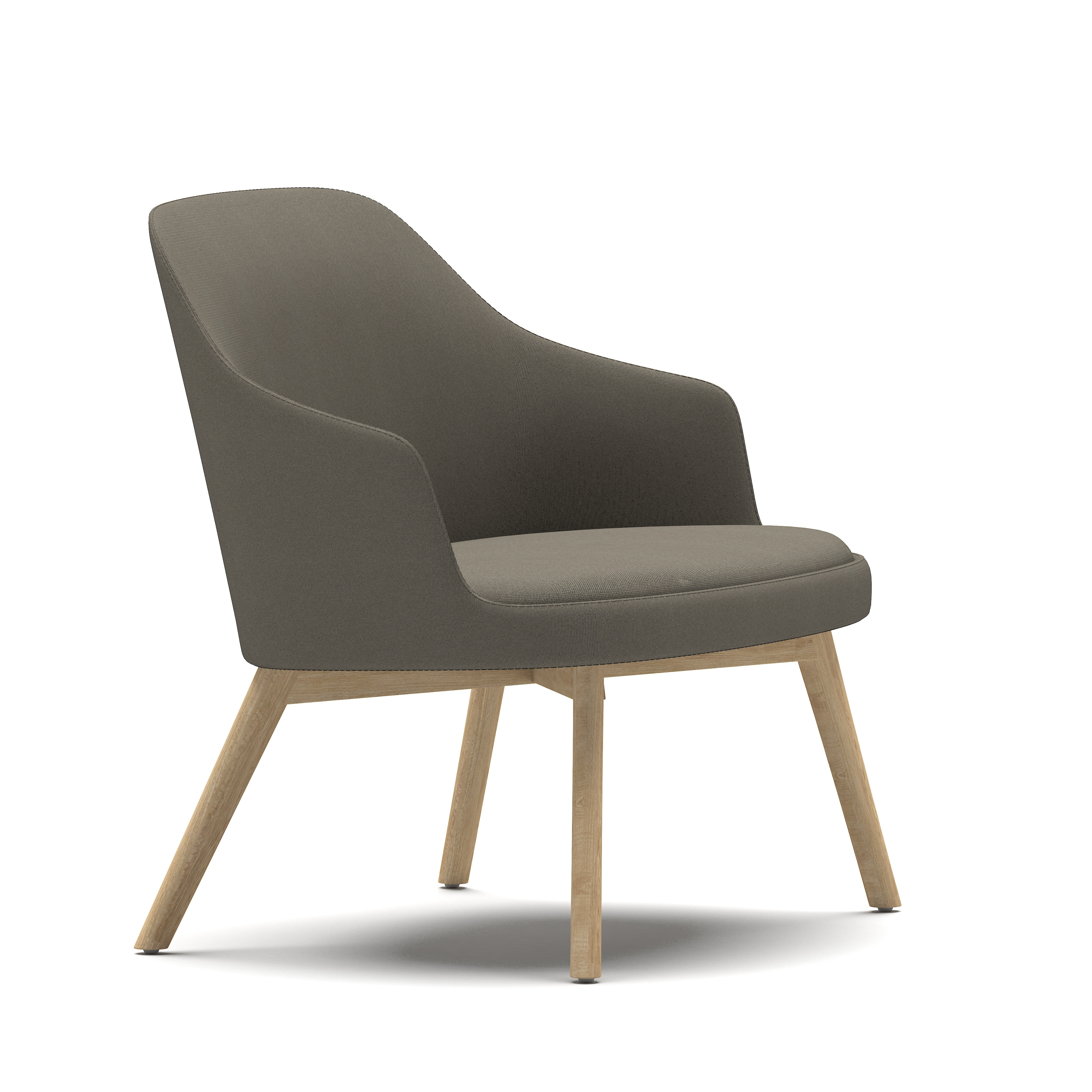 Dolphin - Lounge Chair with Armrest