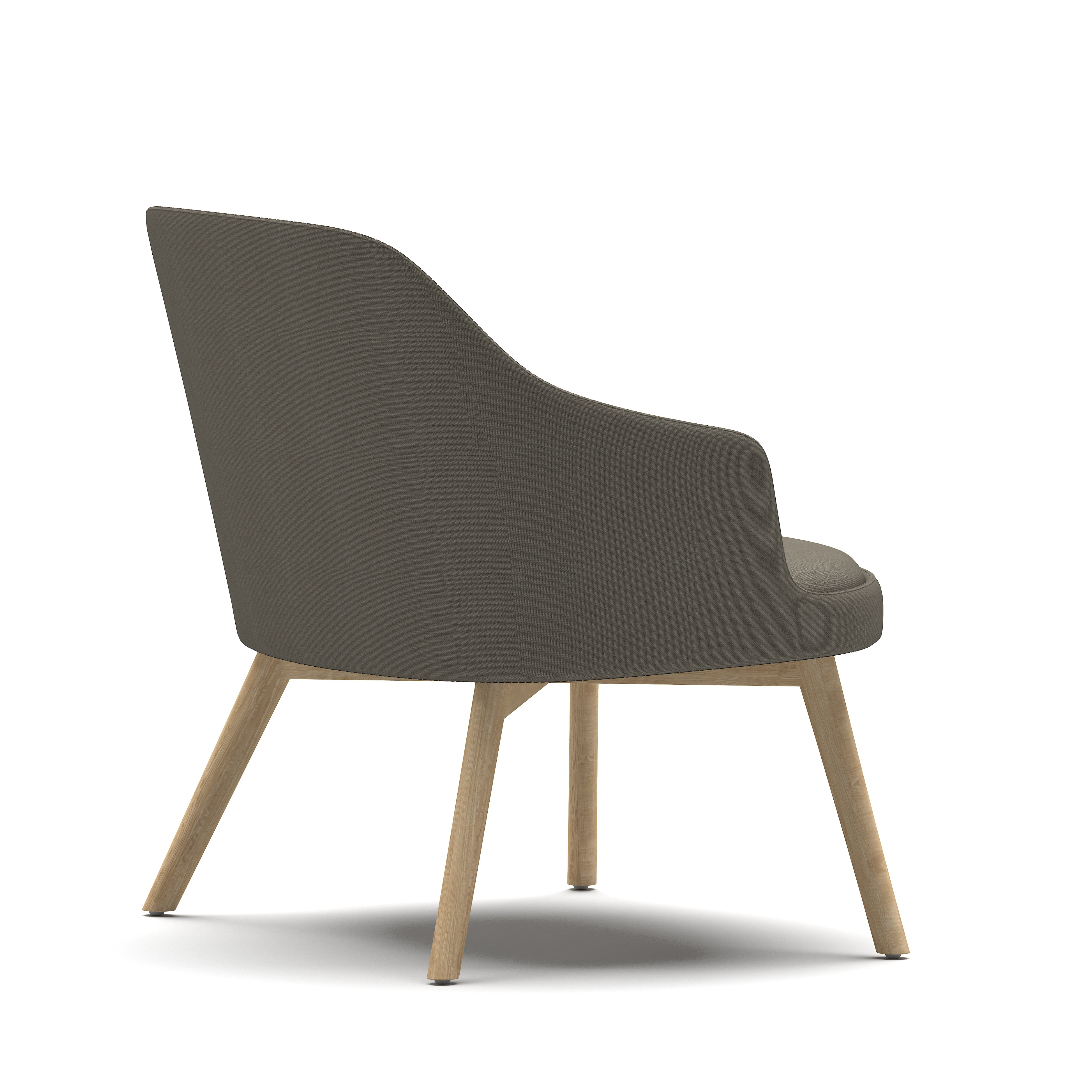 Dolphin - Lounge Chair with Armrest