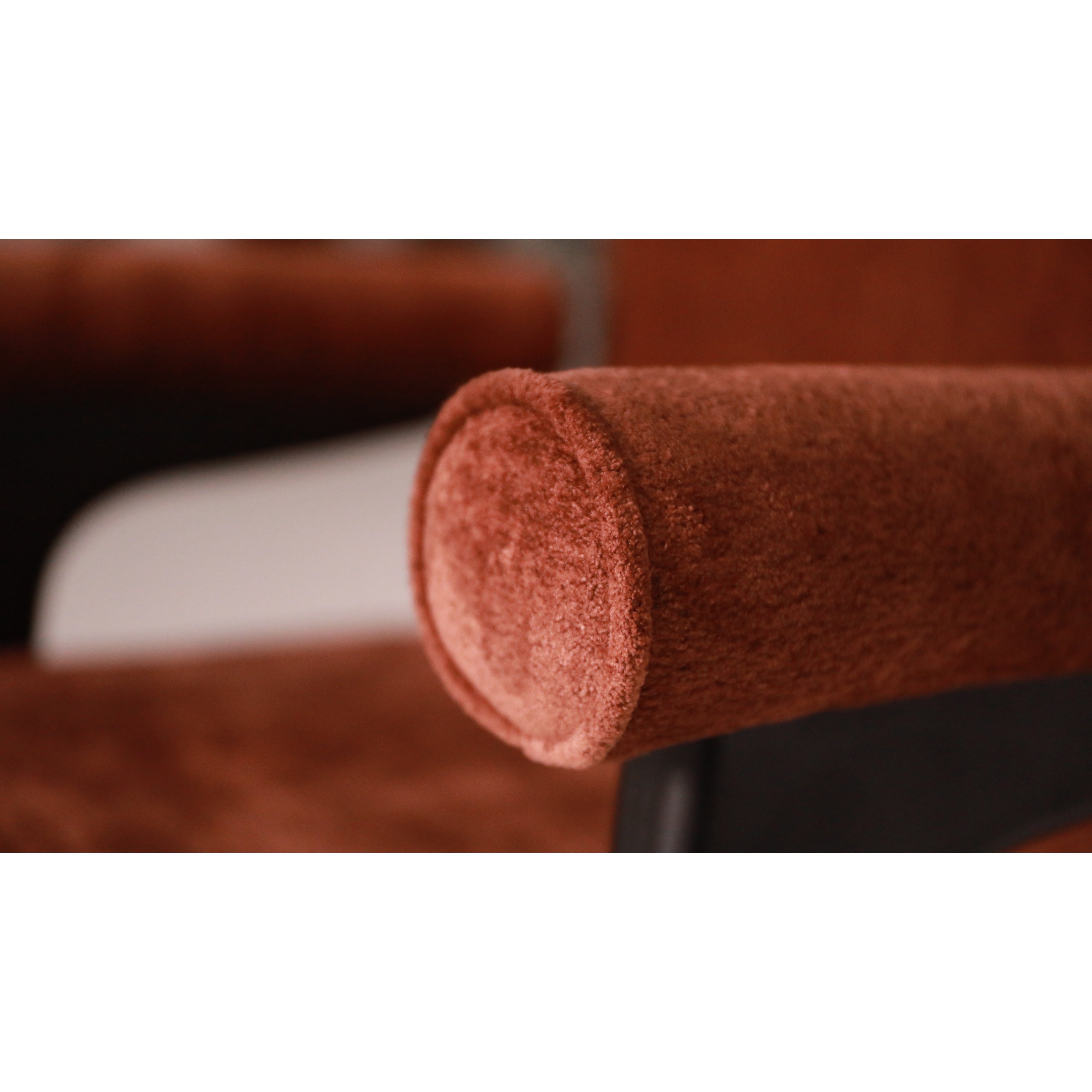 SIERRA - Dining Chair
