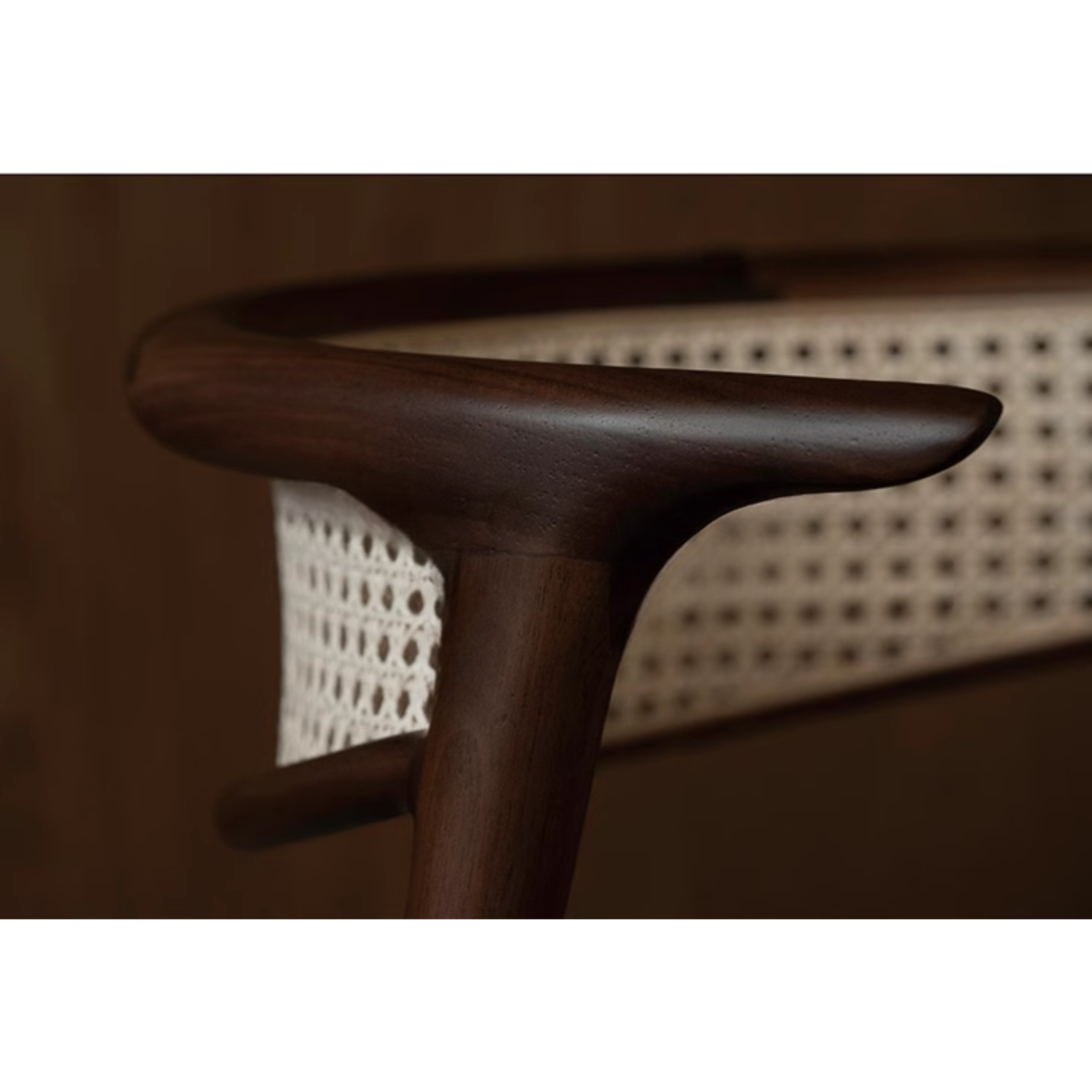 Branch Shadow - Dining Chair