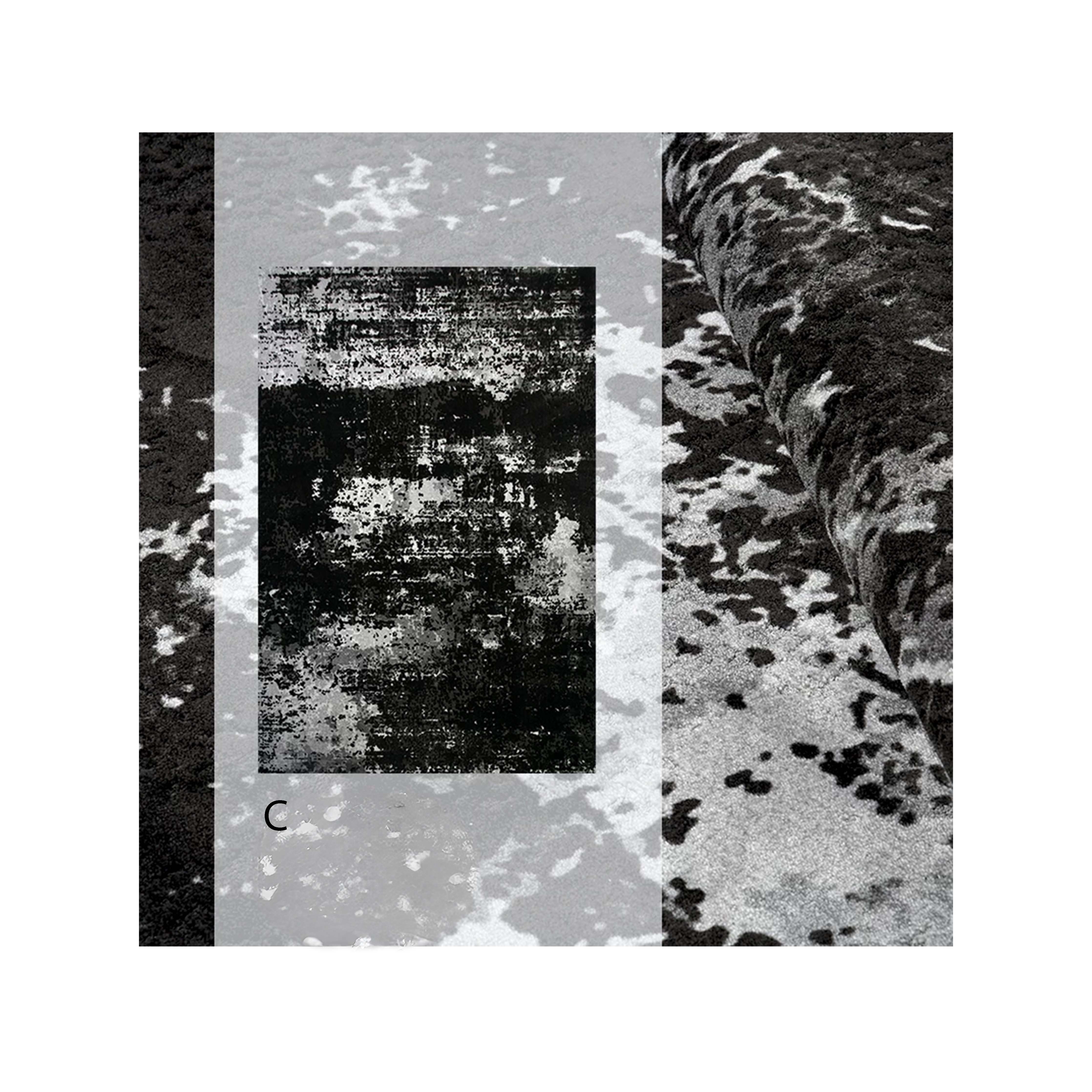Rug307