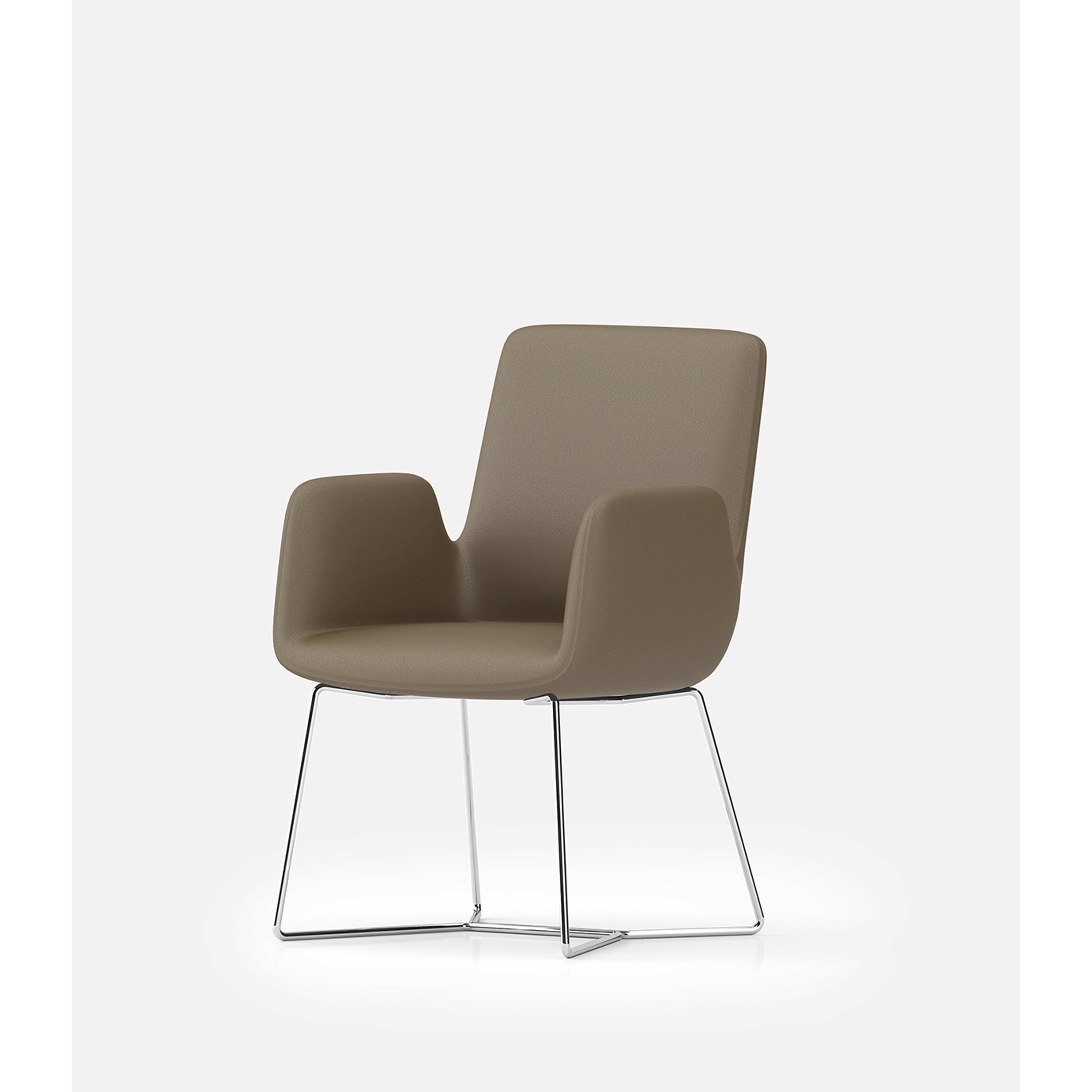 Cordia - Dining Chair