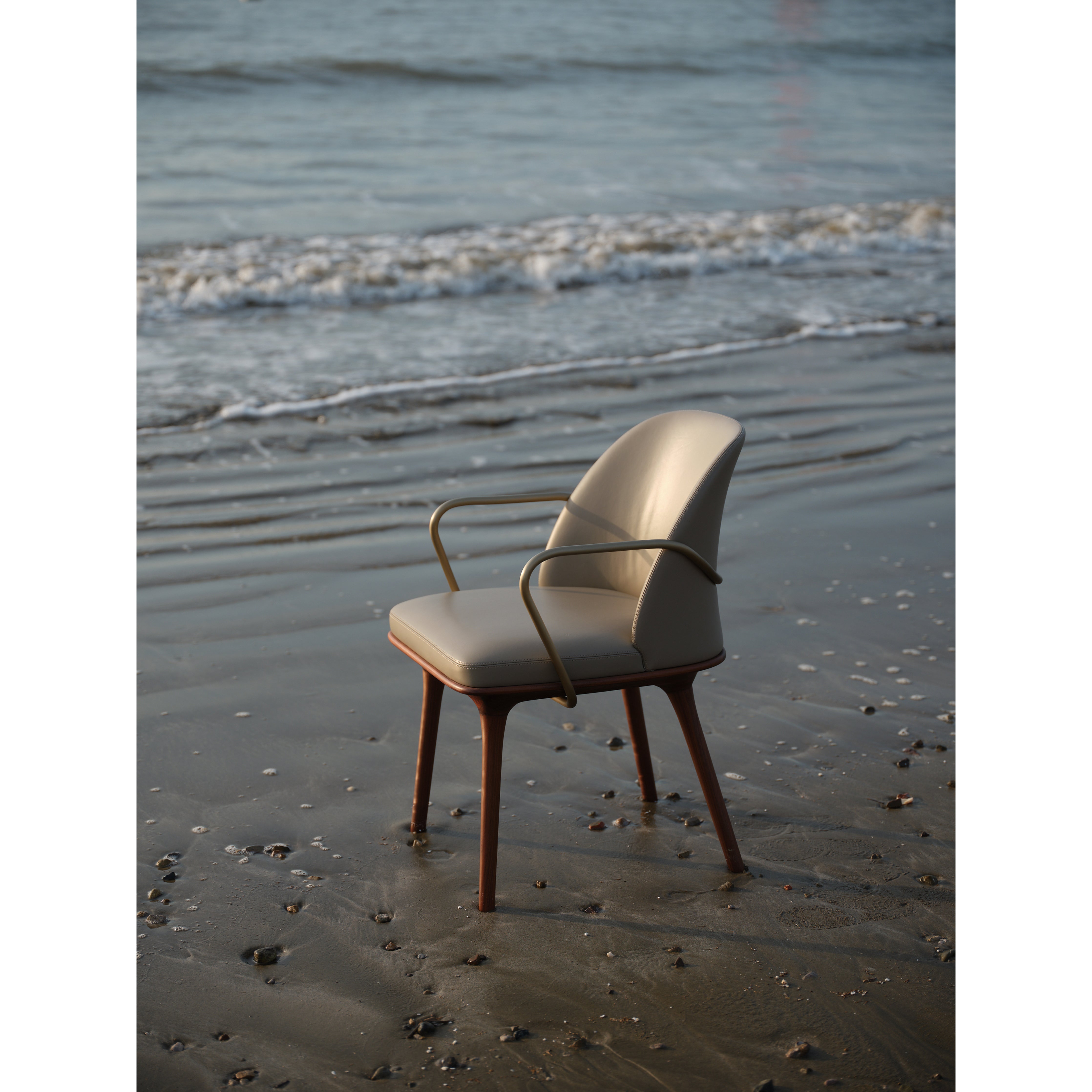 Solar - Dining Chair