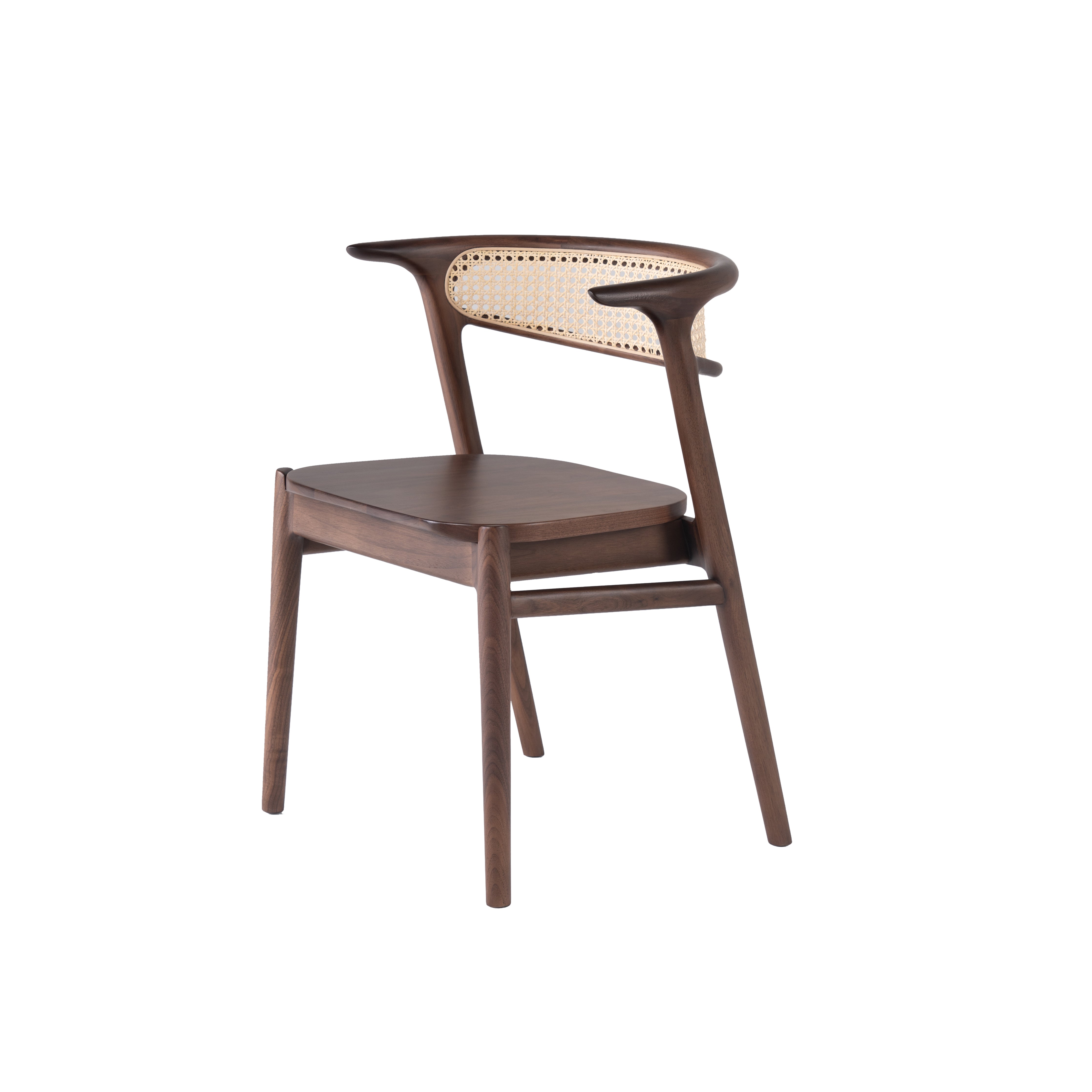 Branch Shadow - Dining Chair