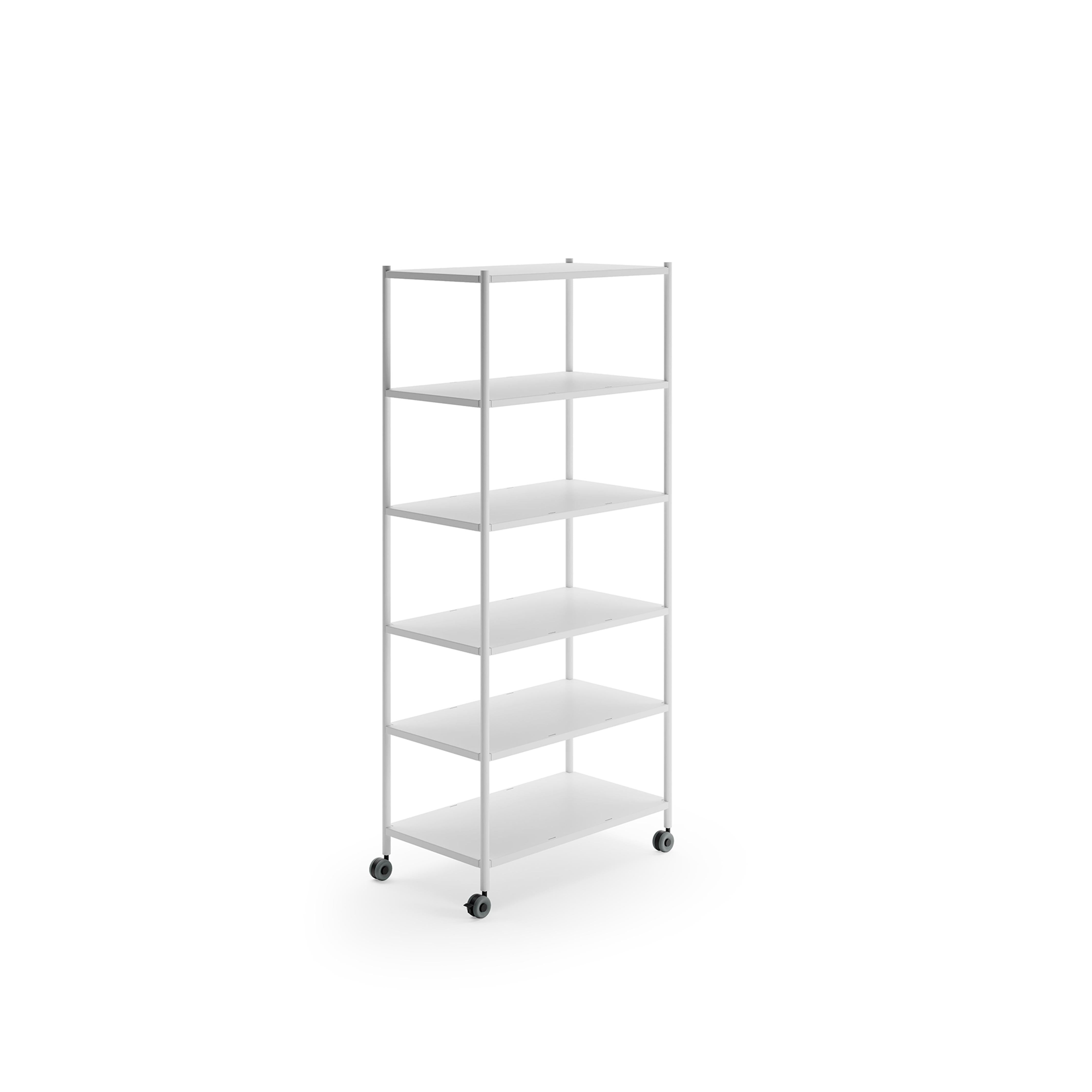 Dynamic - Shelf
