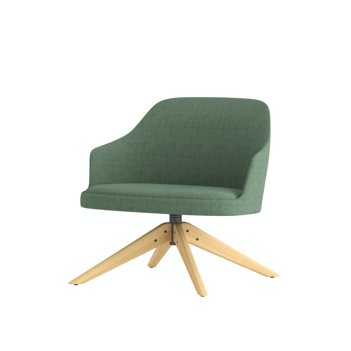 Dolphin - Lounge Chair with Armrest