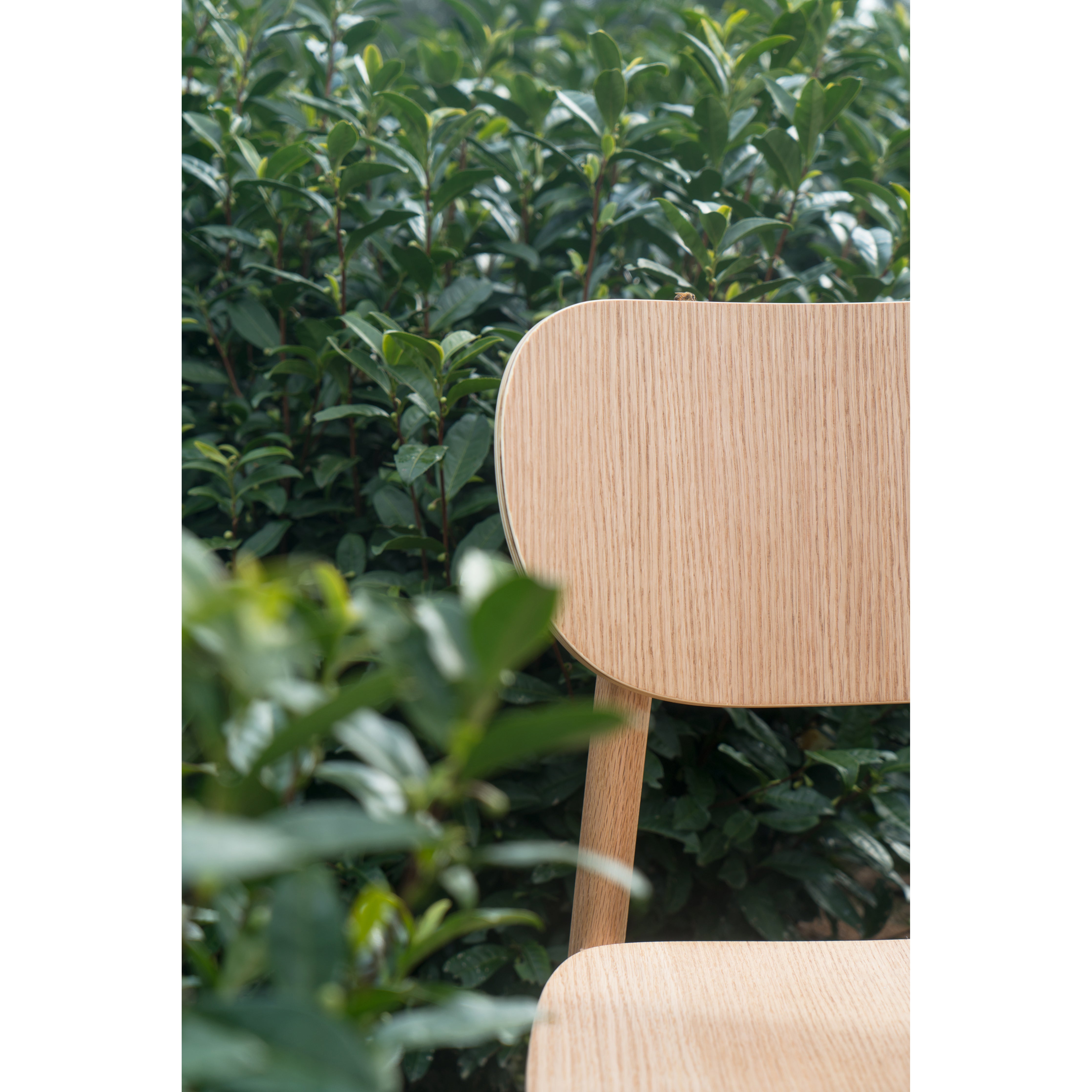 IZU - Chair