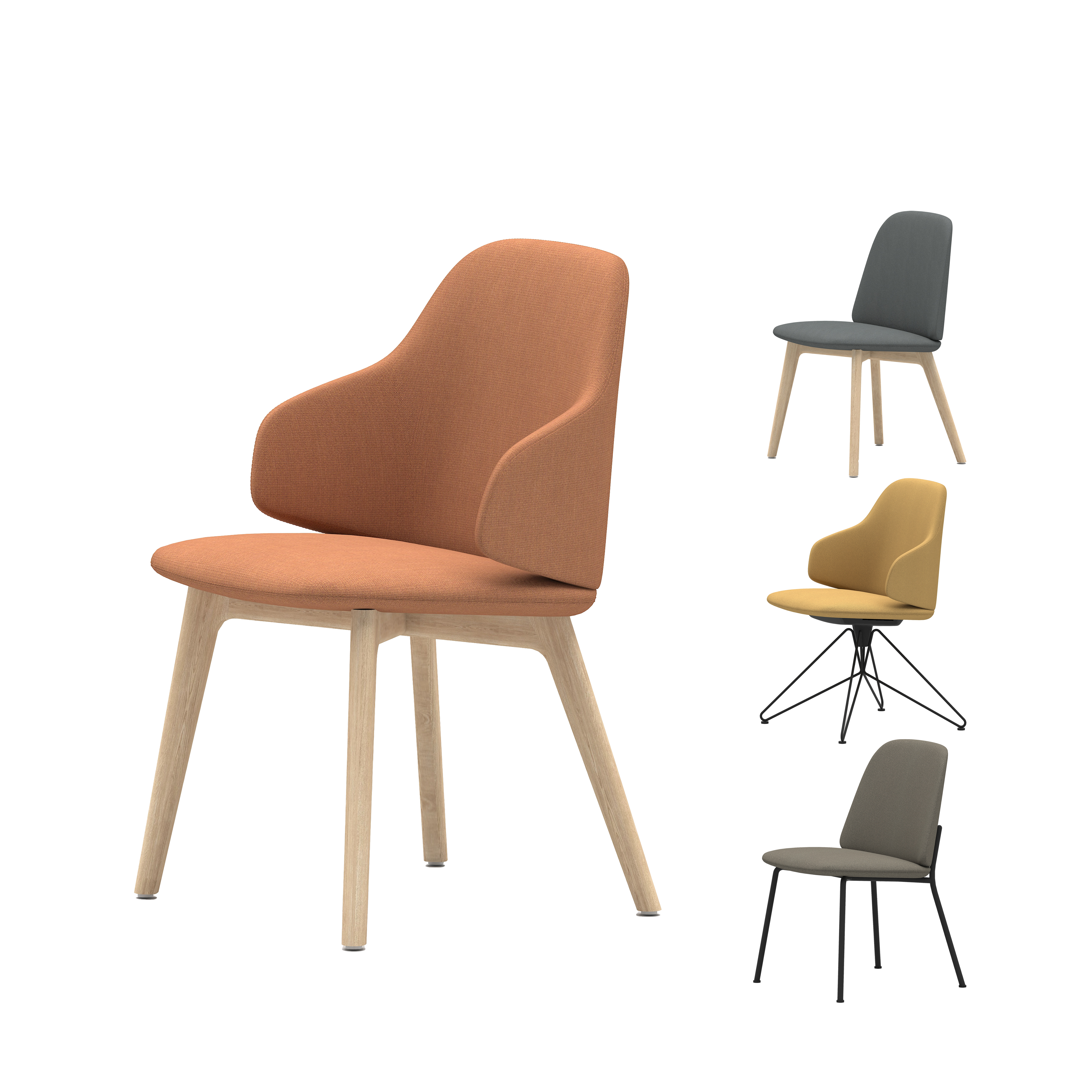 Shield - Dining Chair