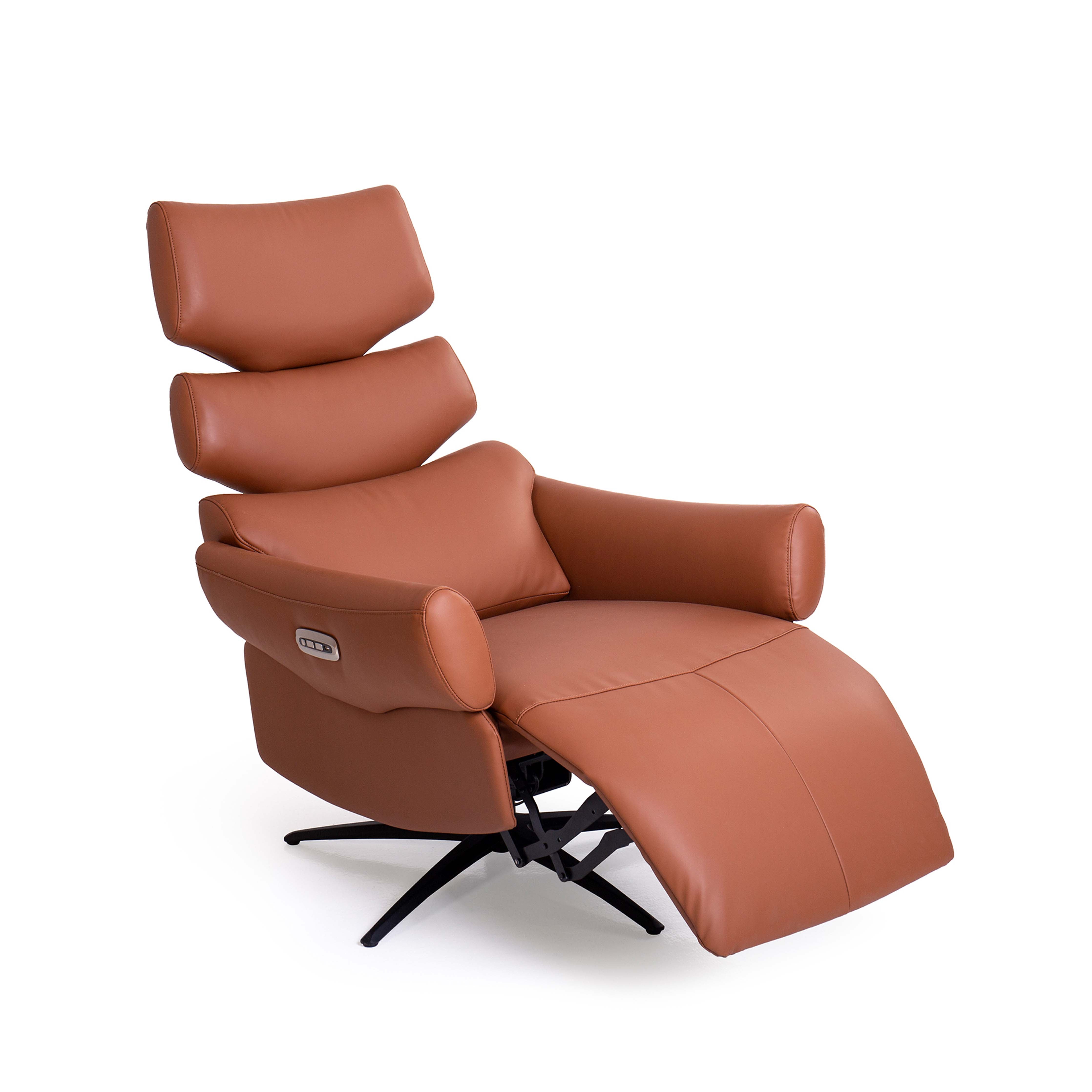 Basjoo - Recline Lounge Chair