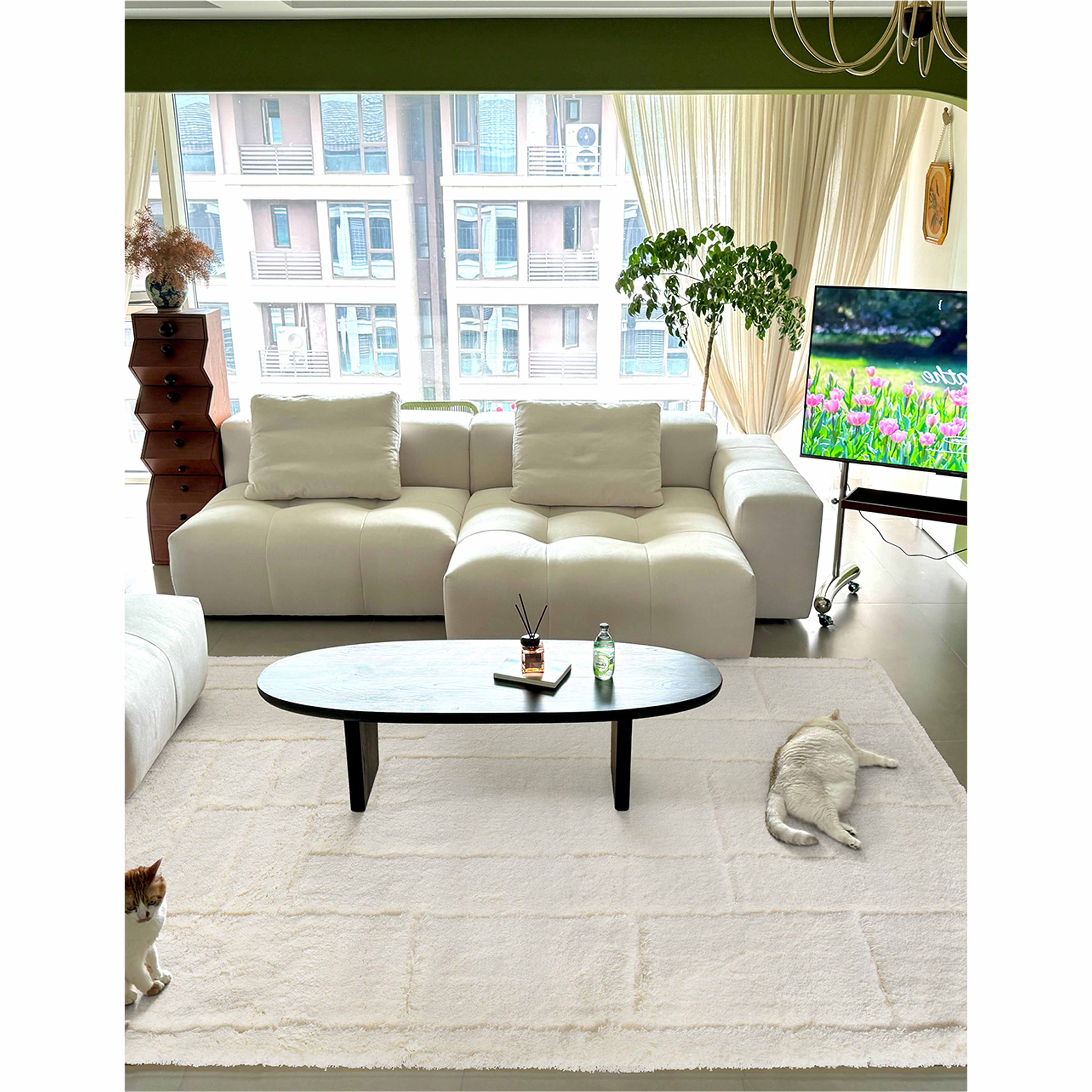 Rug159