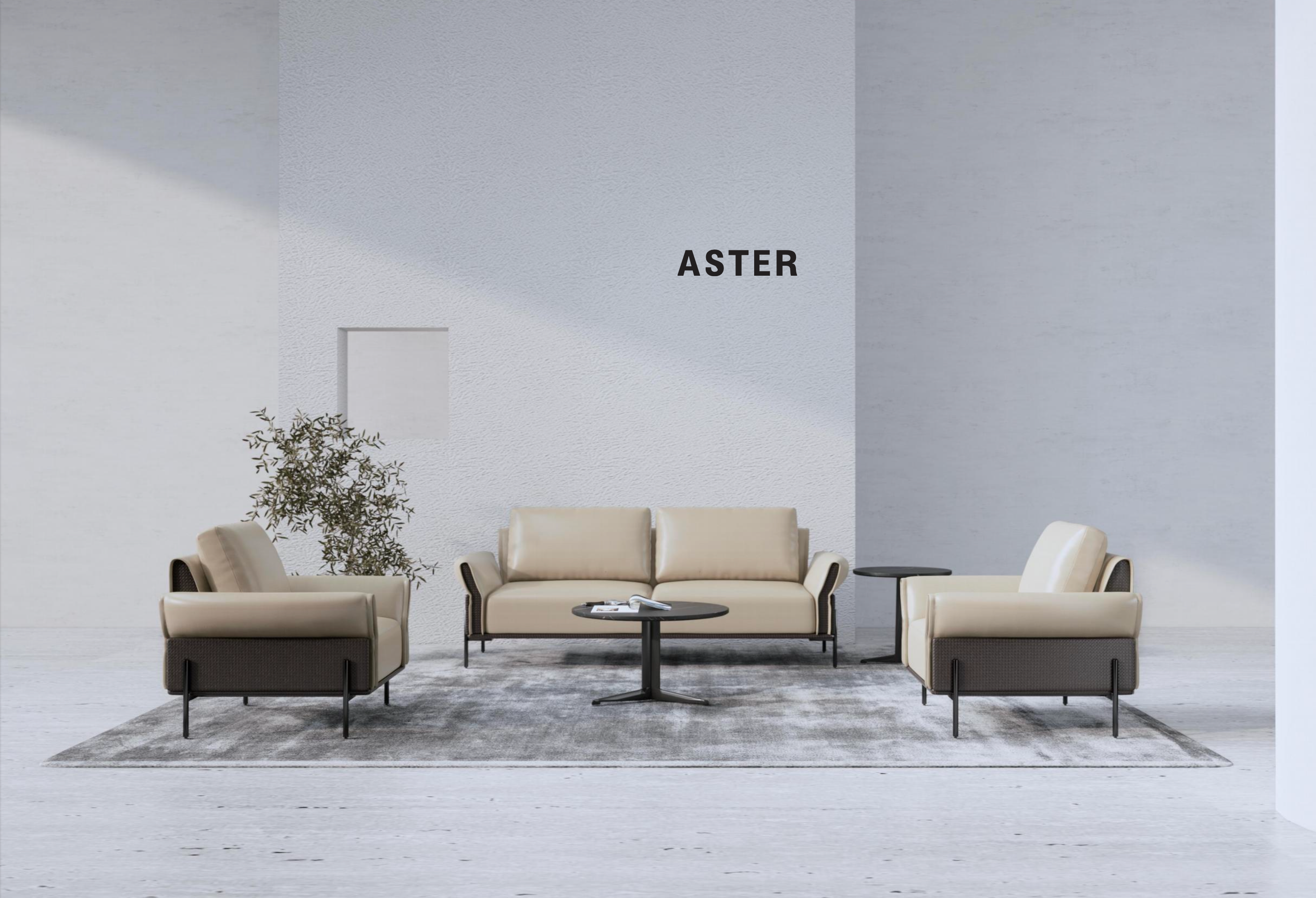 Aster - Lounge Chair