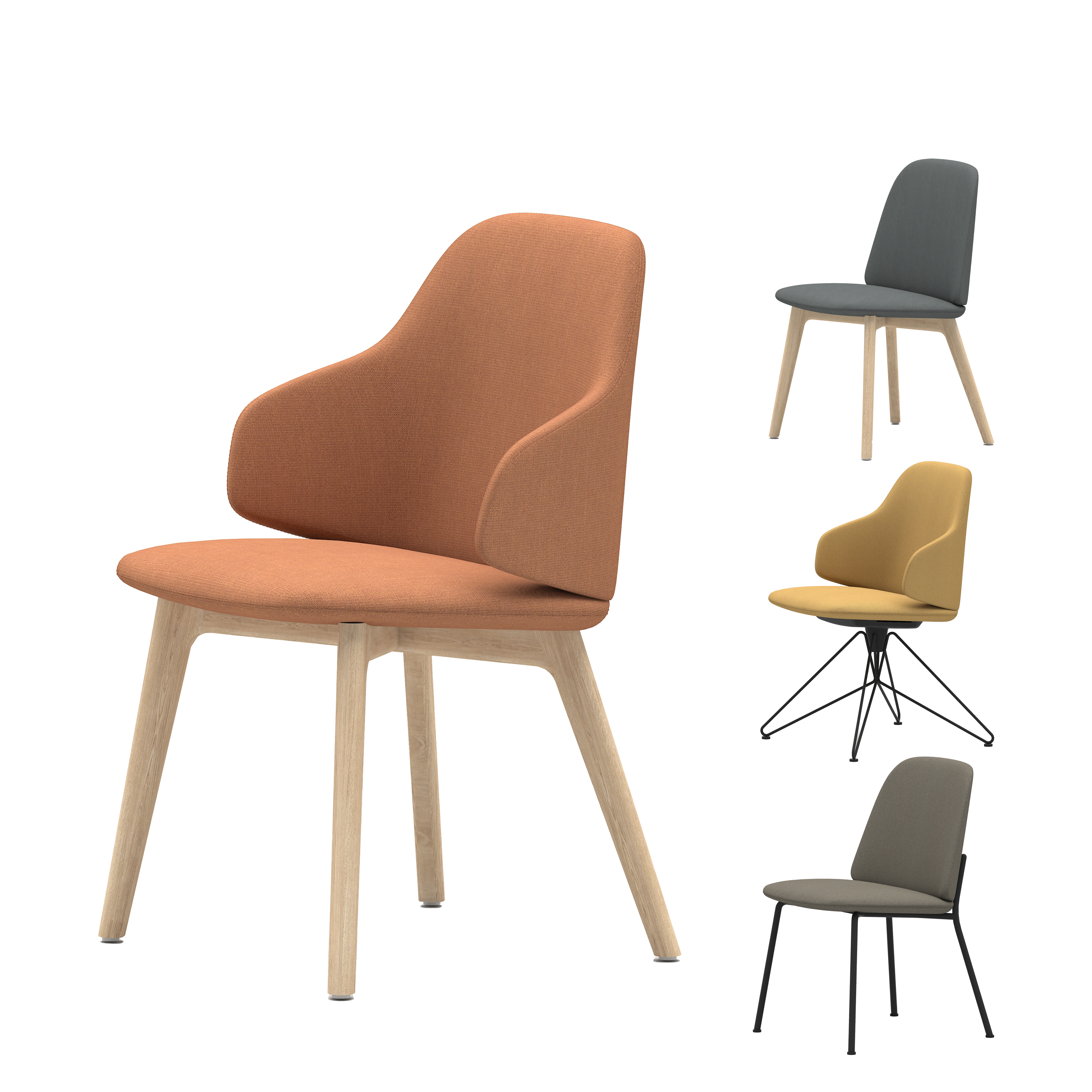 Shield - Dining Chair