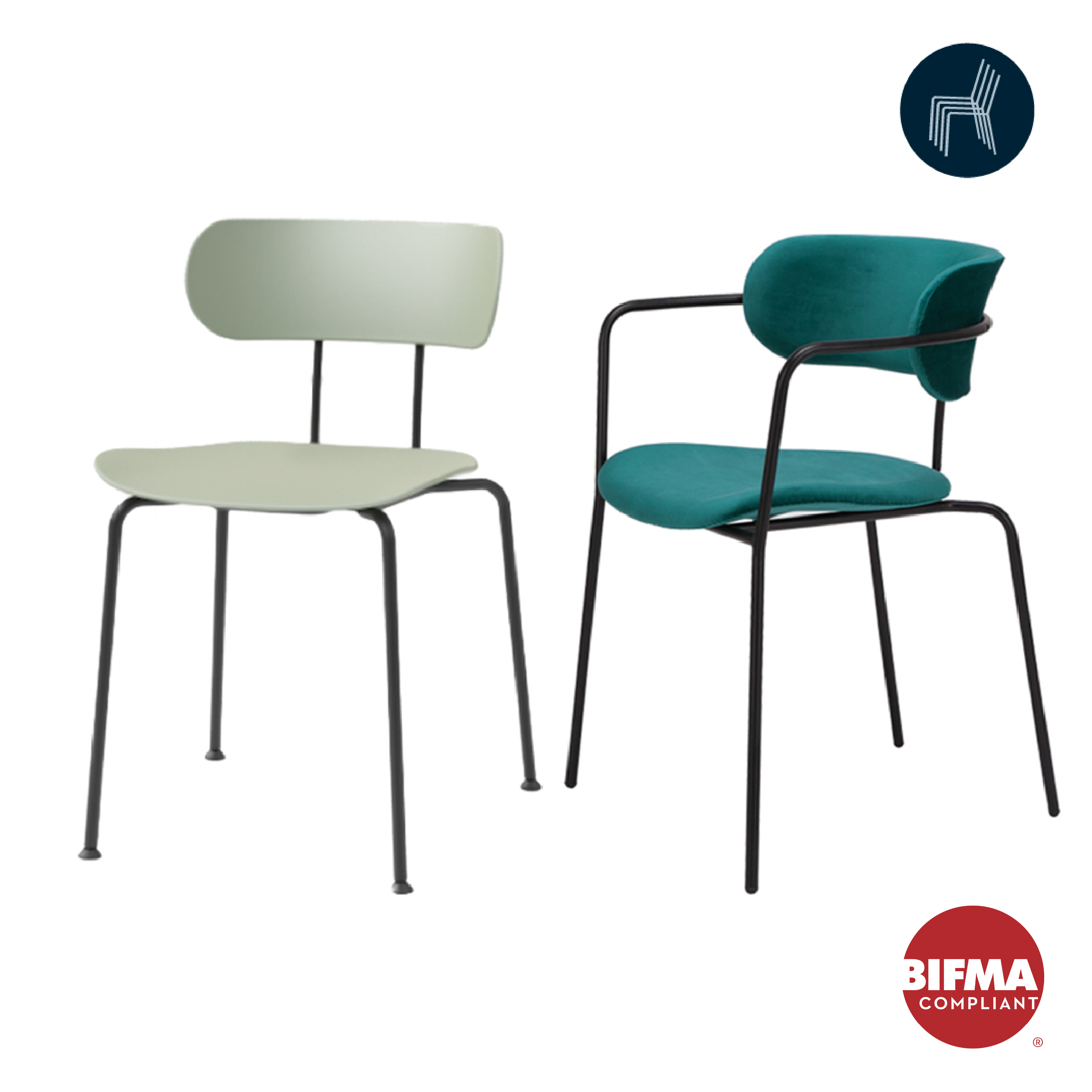 Pedigree - Dining Chair