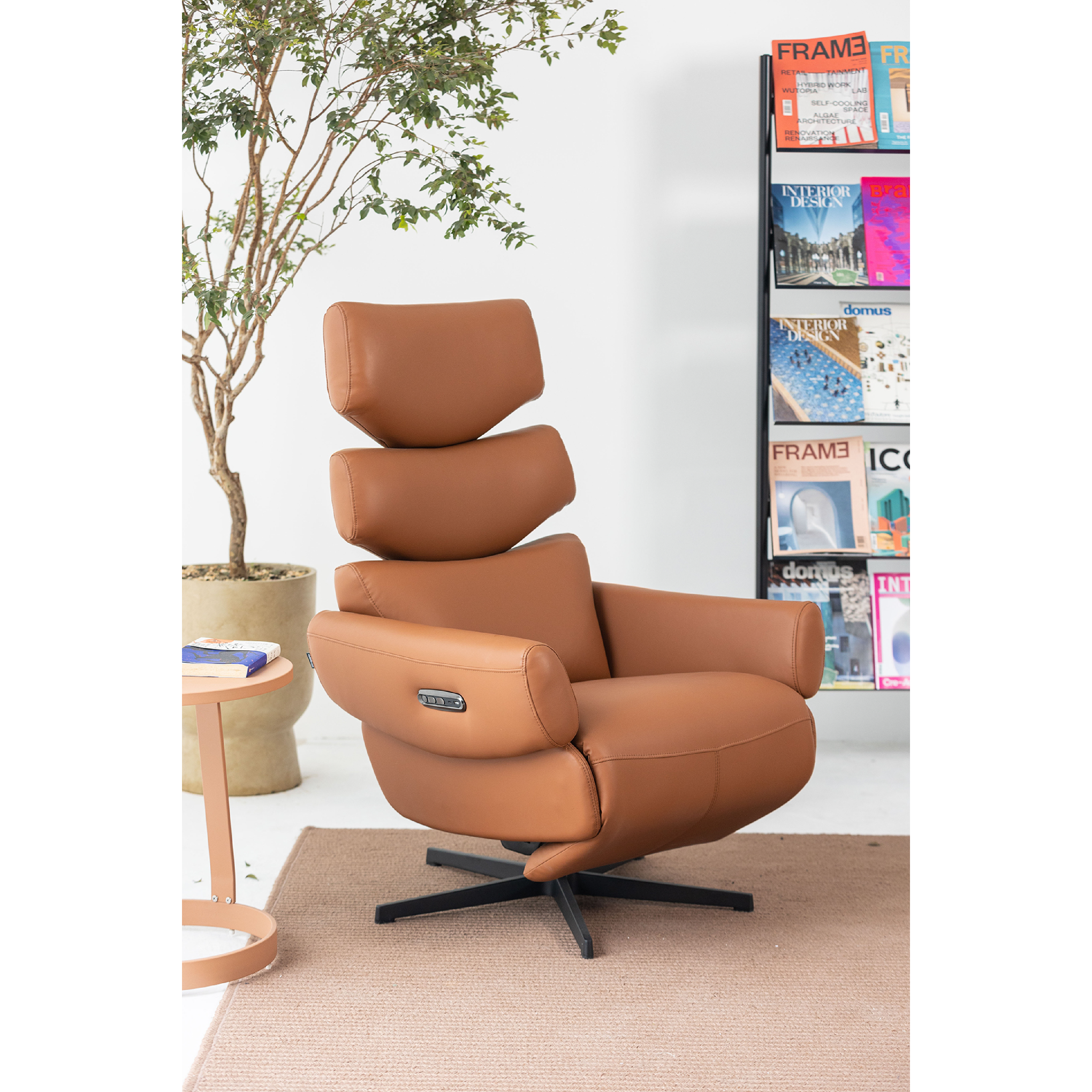 Basjoo - Recline Lounge Chair