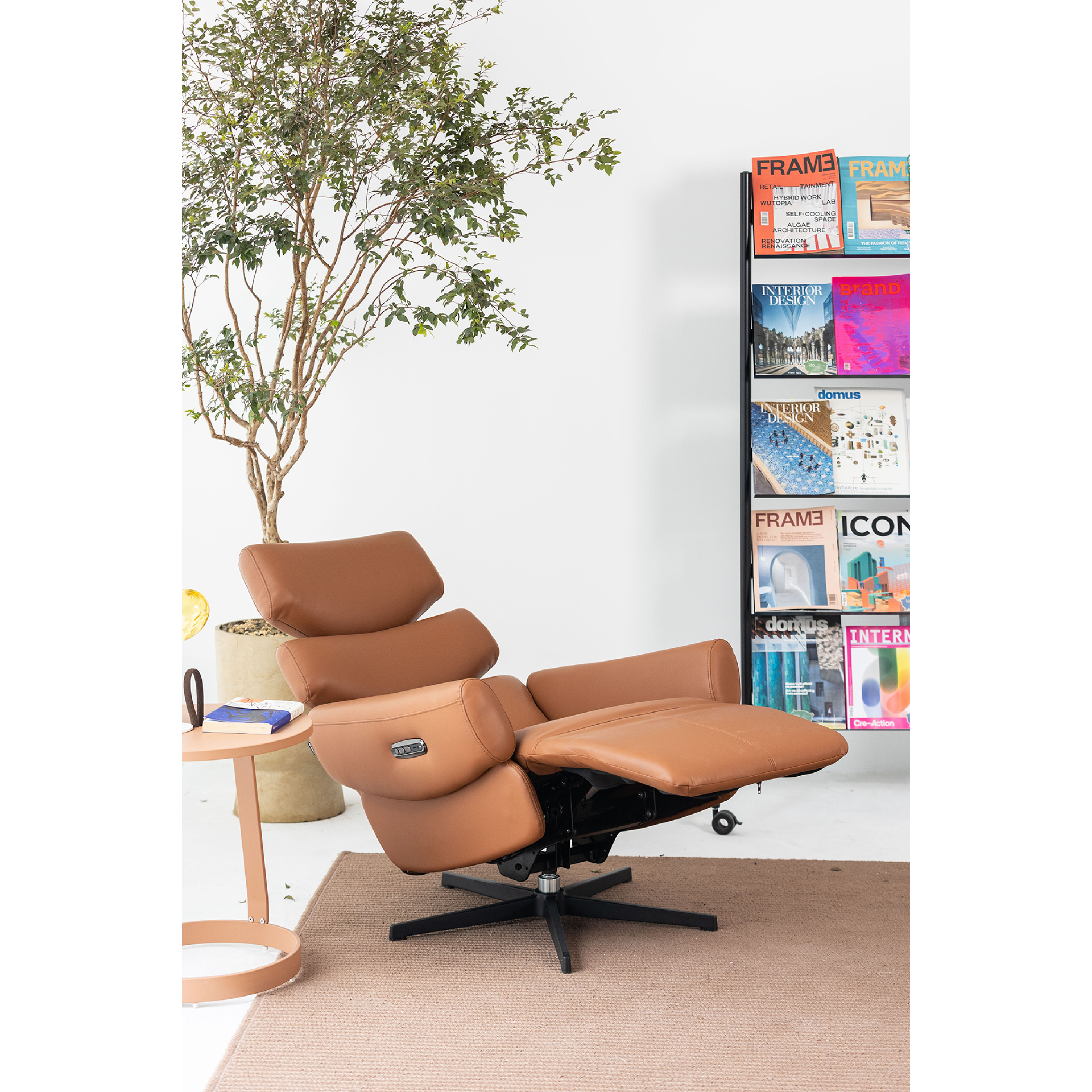 Basjoo - Recline Lounge Chair
