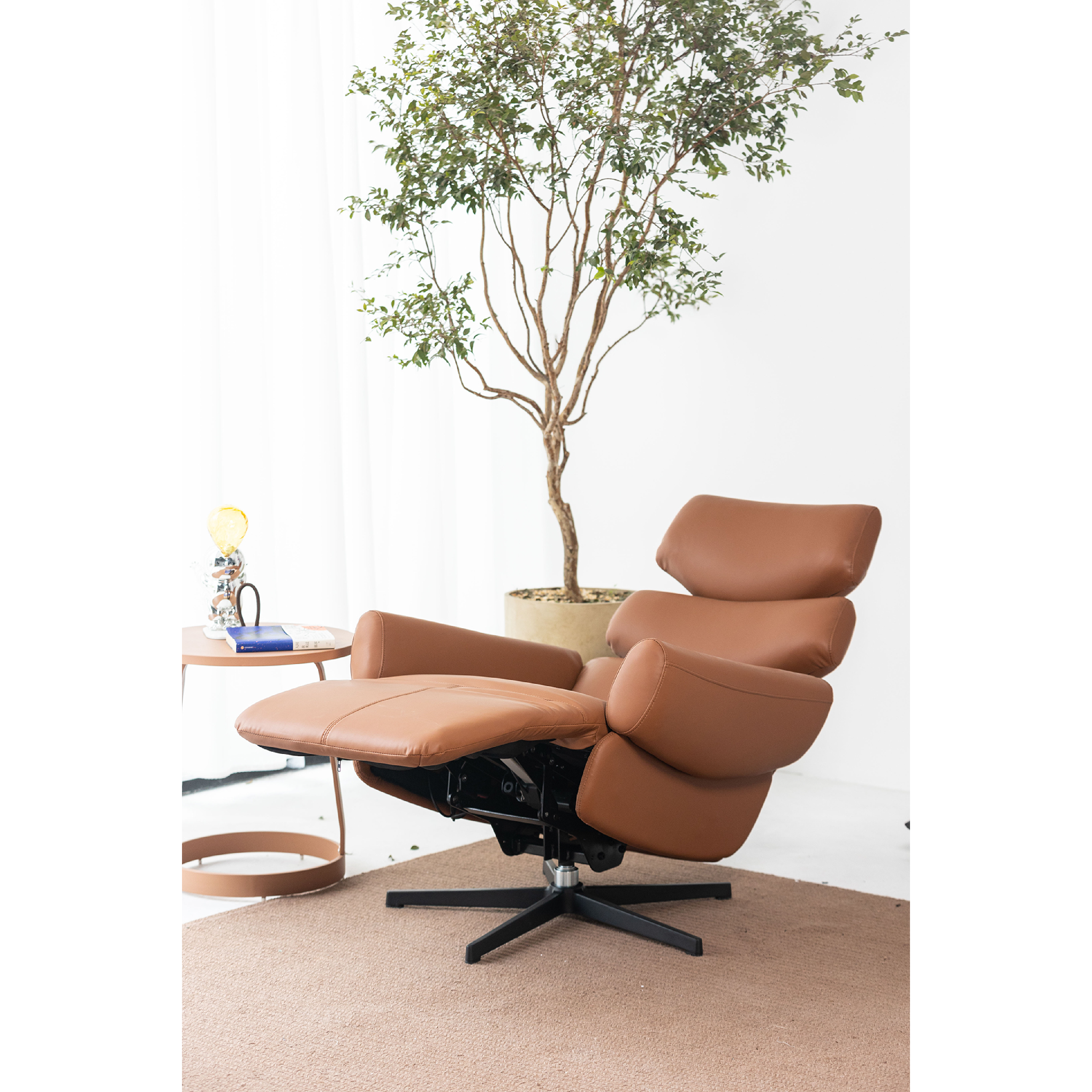 Basjoo - Recline Lounge Chair