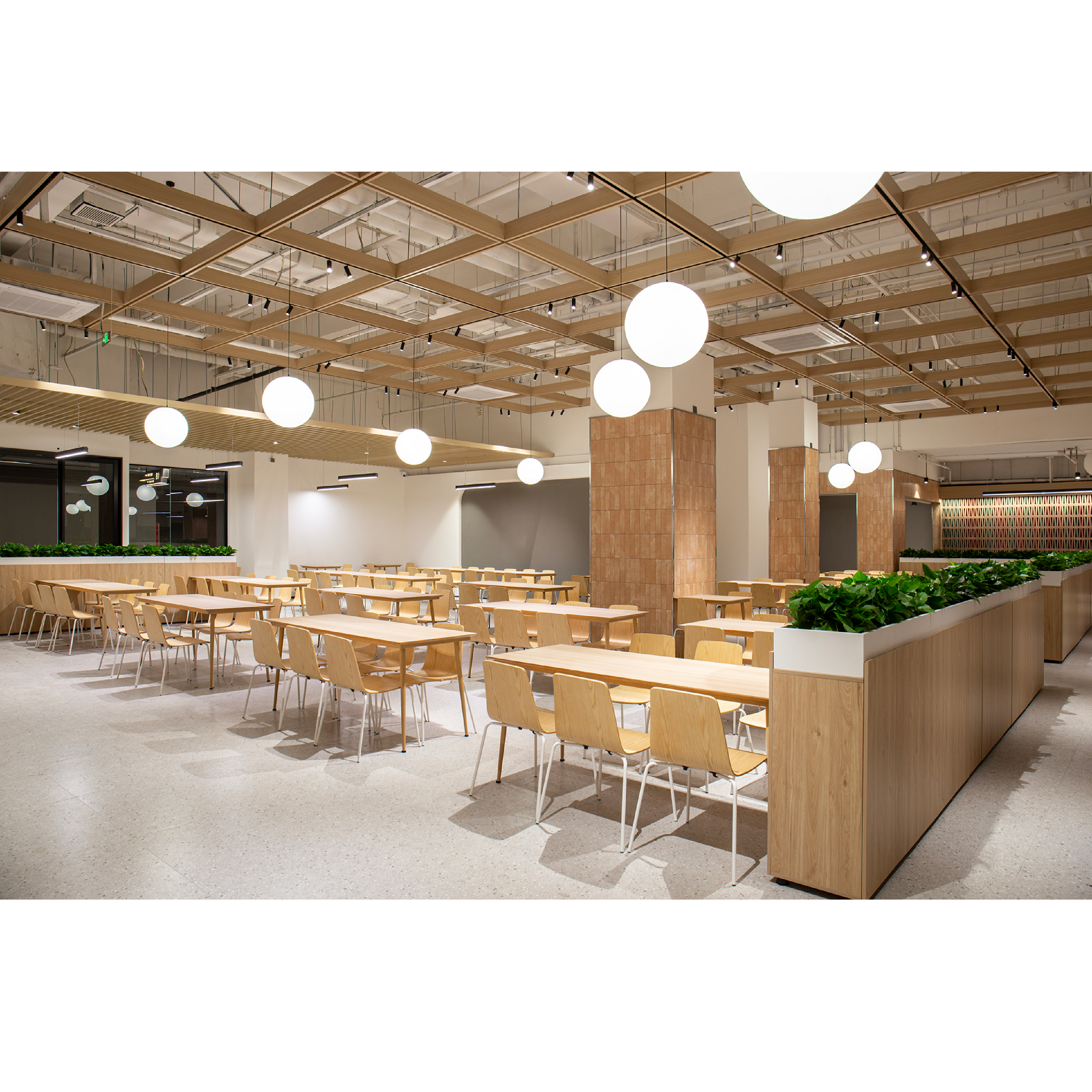 Vind - Dining Chair