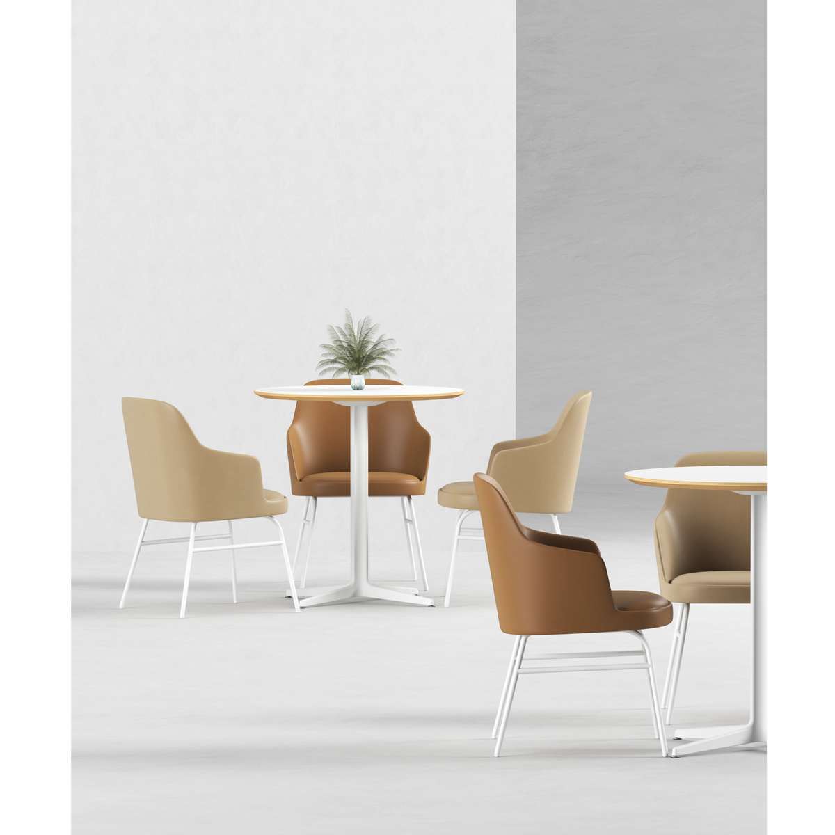 Dolphin - Dining Chair with Armrest