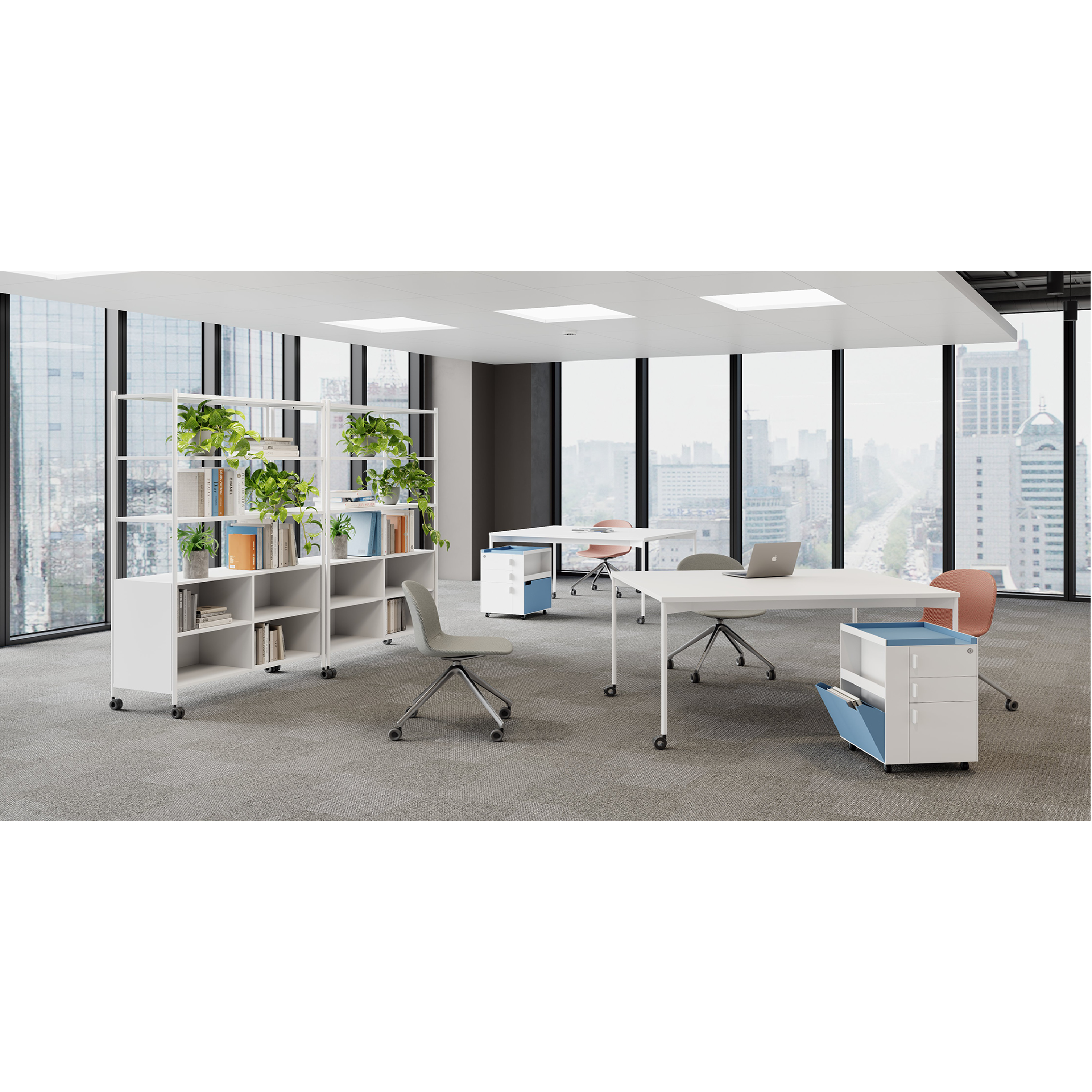 Dynamic - Shelf