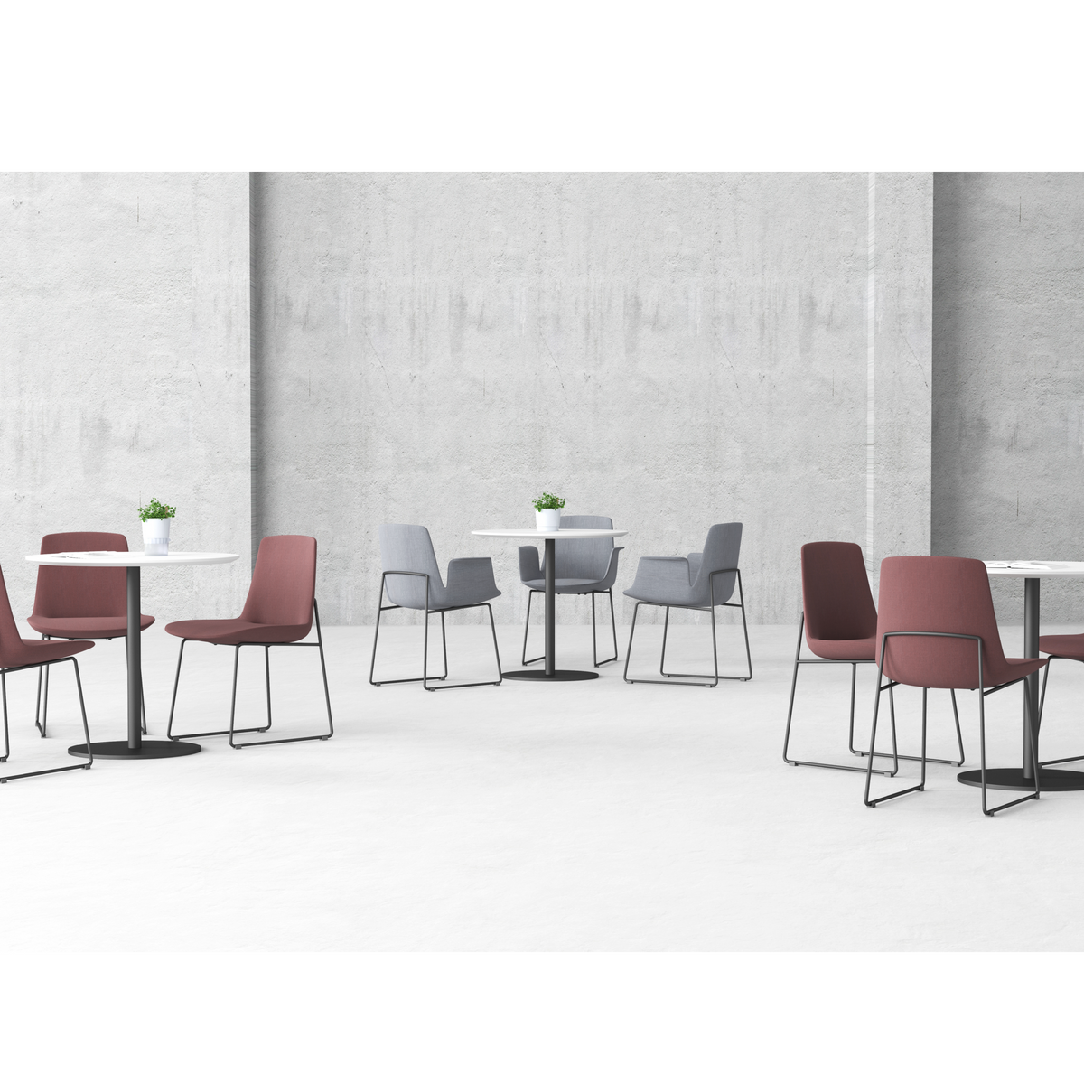 Liberal - Dining Chair