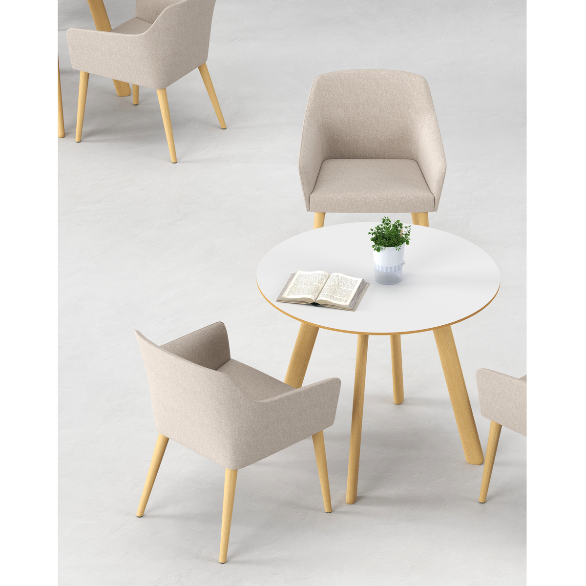 Nina - Dining Chair