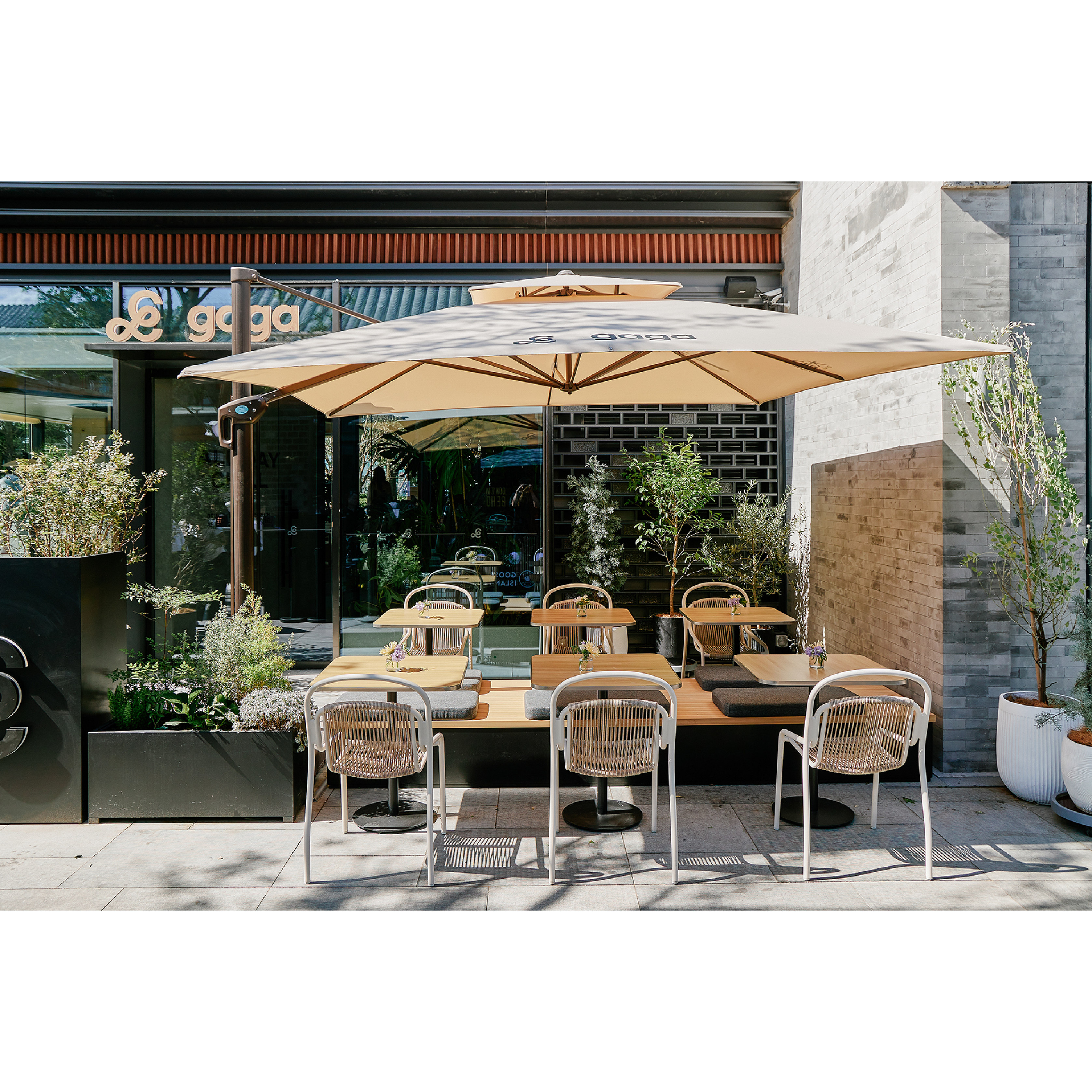 Vine - Outdoor Dining Chair