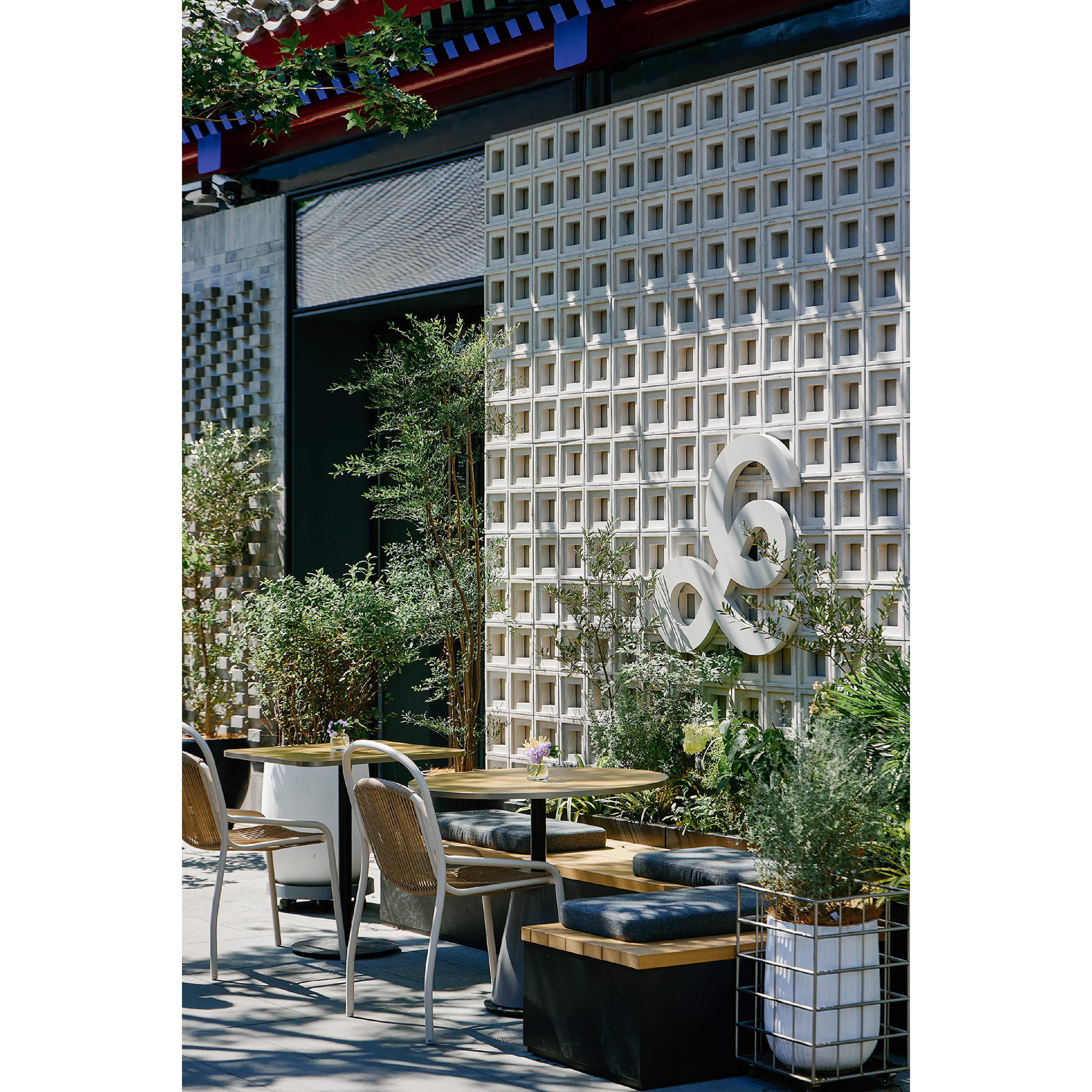 Vine - Outdoor Dining Chair