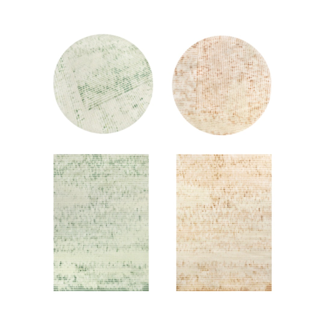 MS012_4.jpg