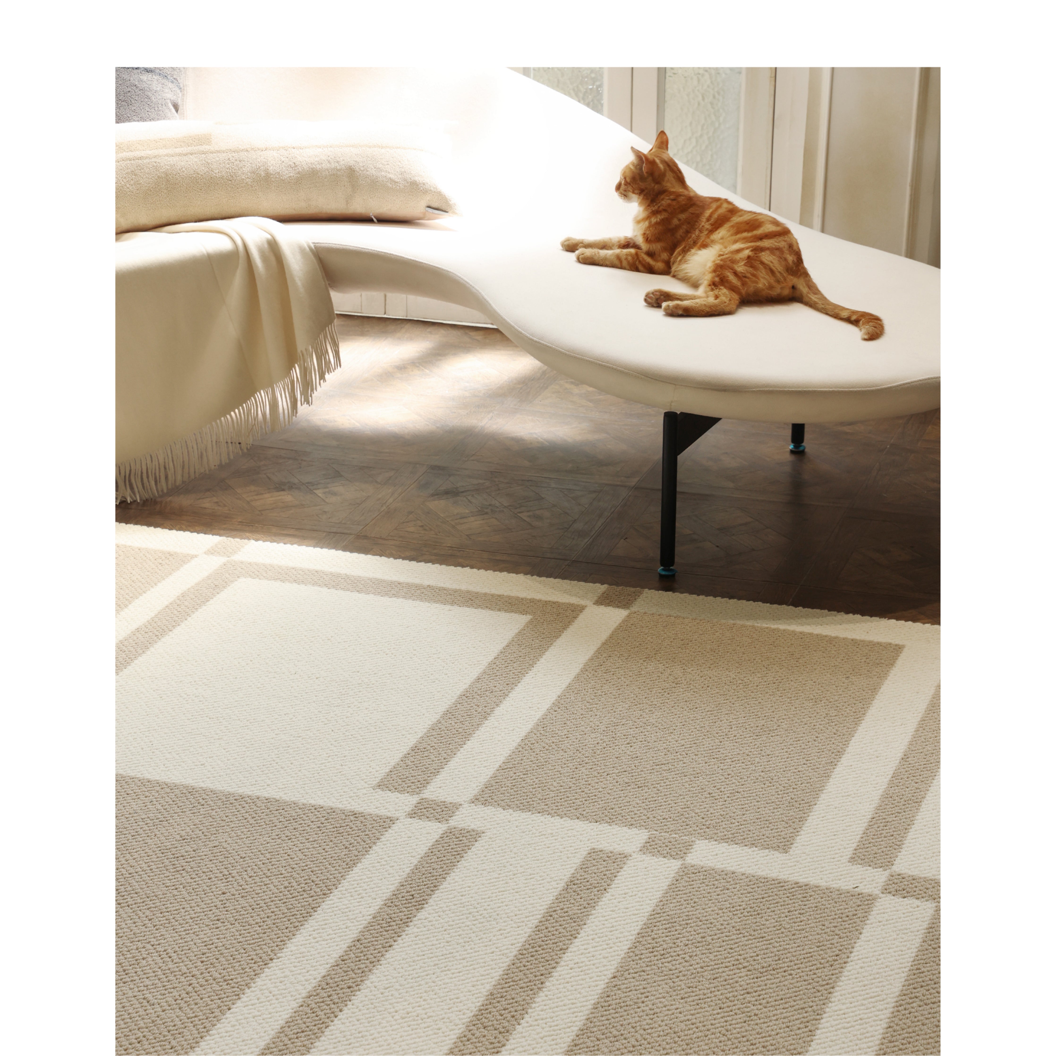 MS077 - Wool