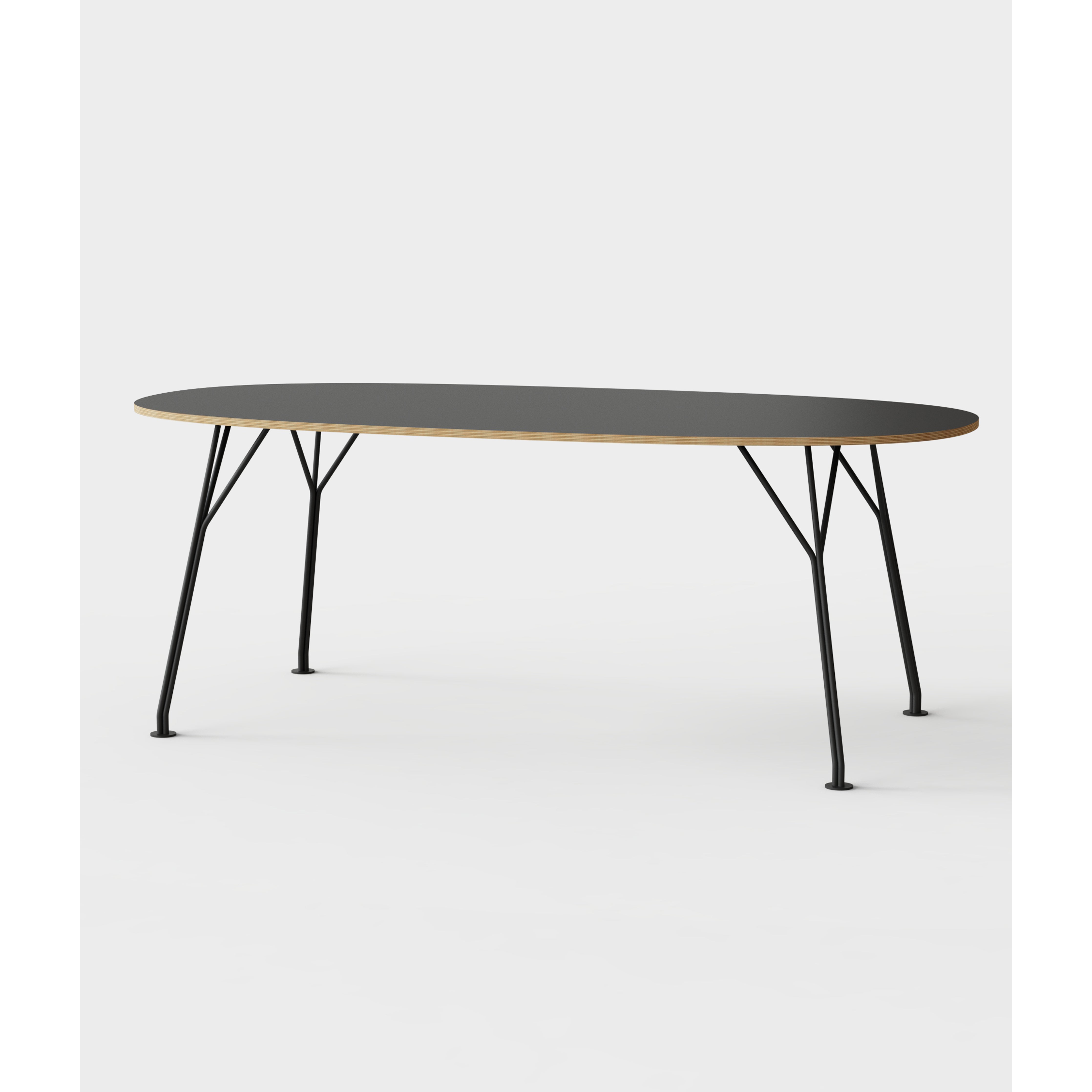 TRI - Long Table